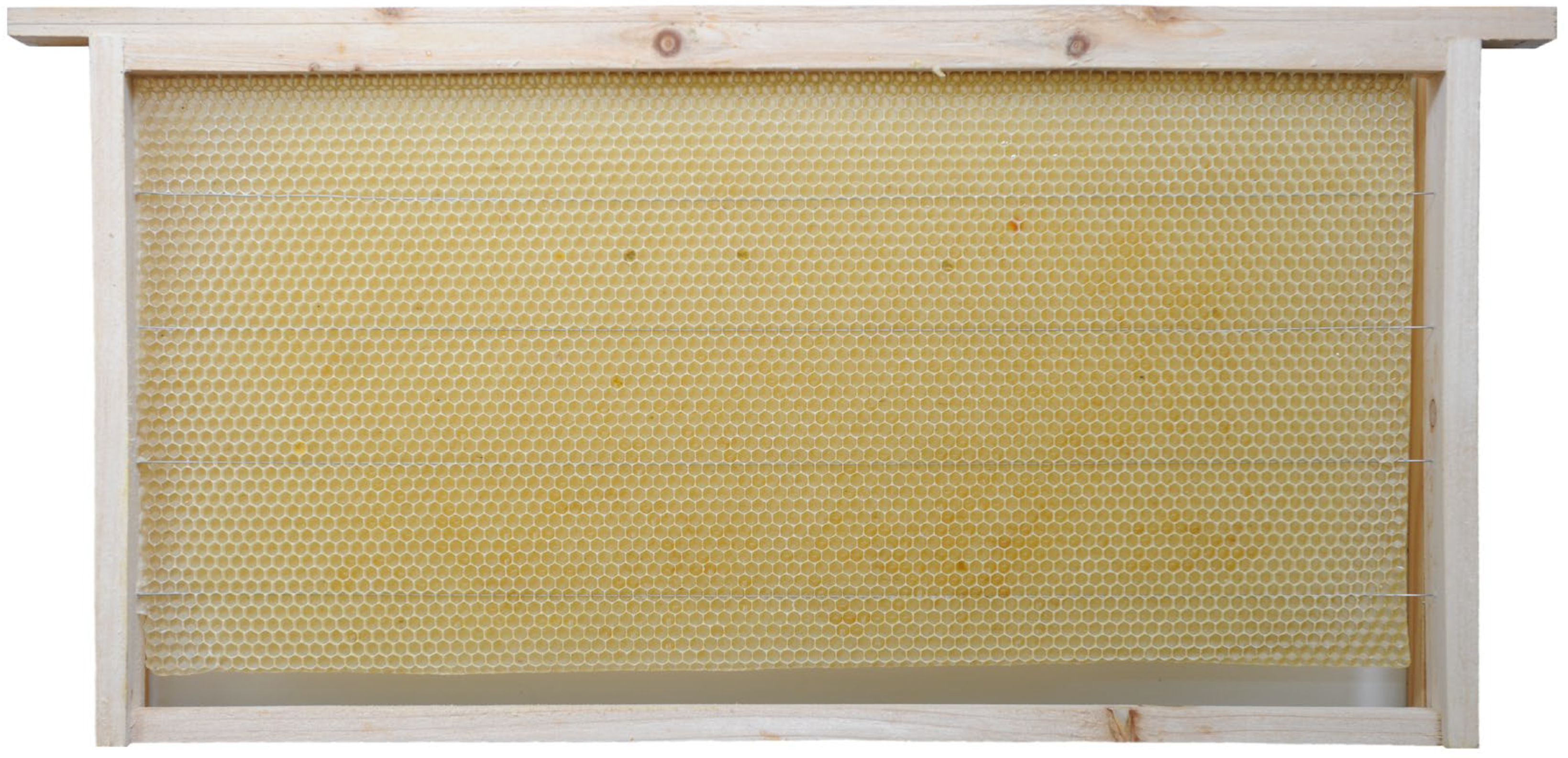 Insects 16 00104 g001