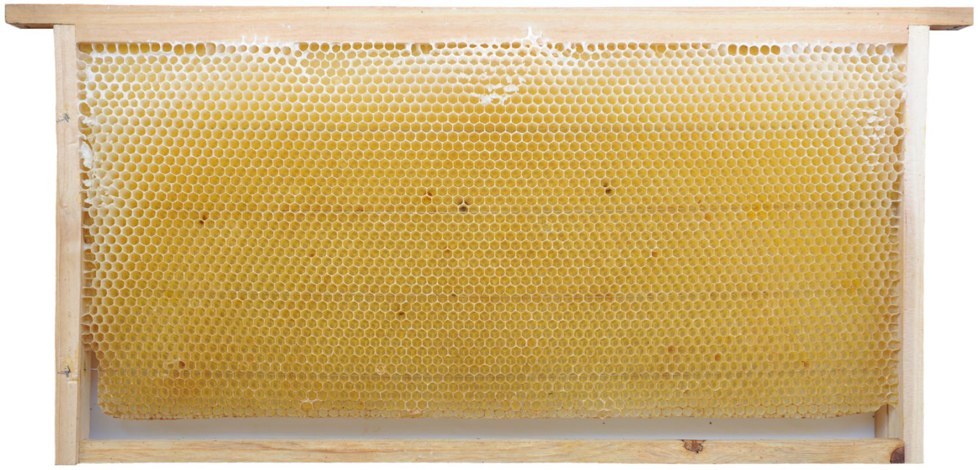 Insects 16 00104 g002