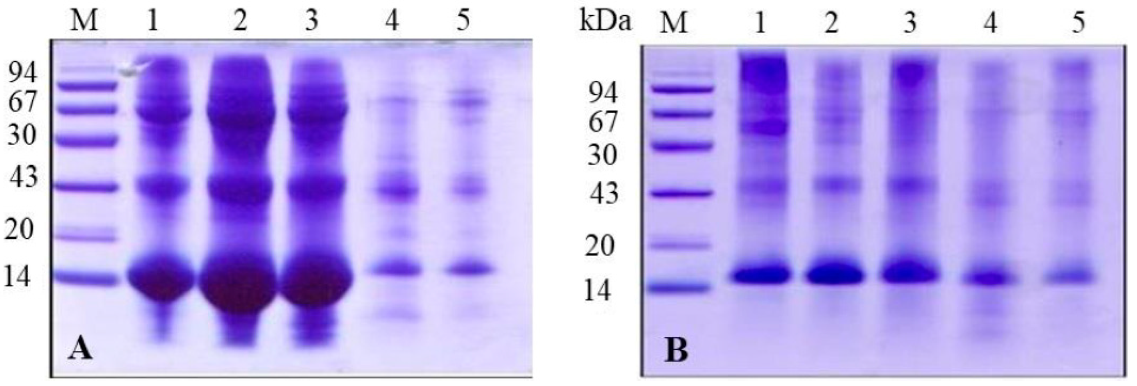 Insects 16 00116 g009