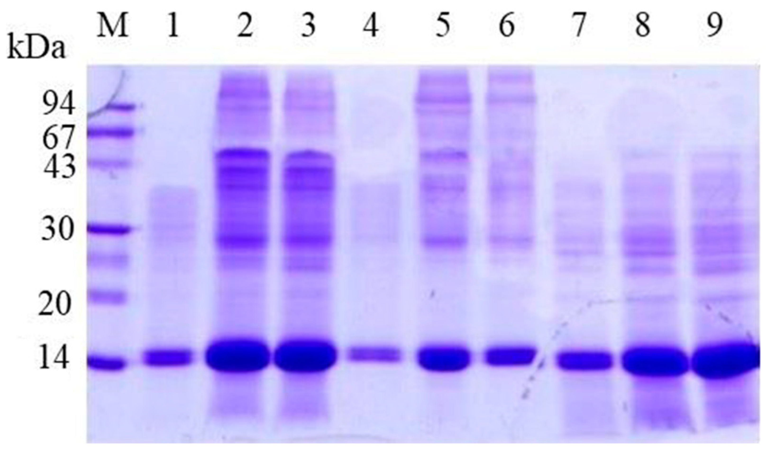 Insects 16 00116 g010