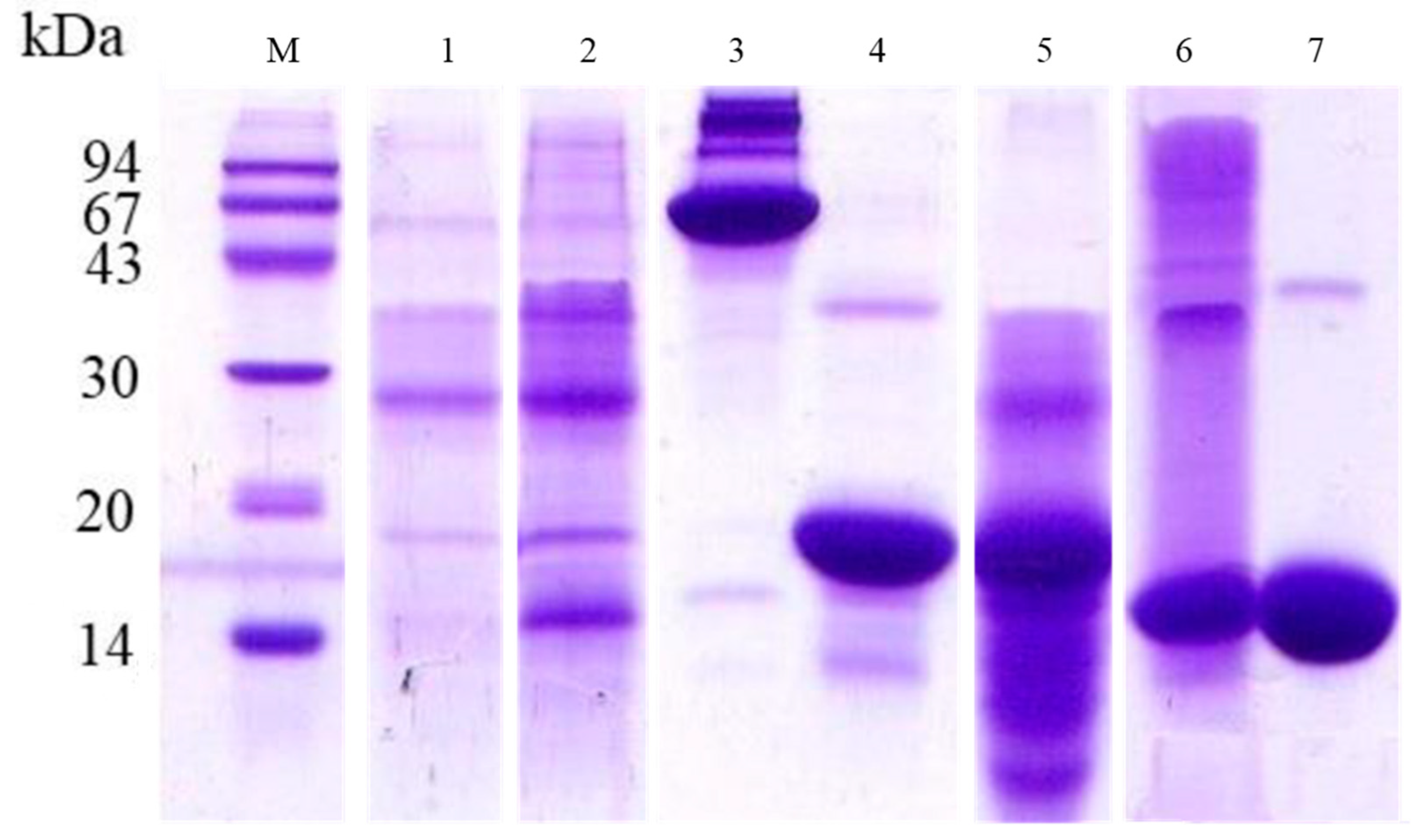 Insects 16 00116 g011