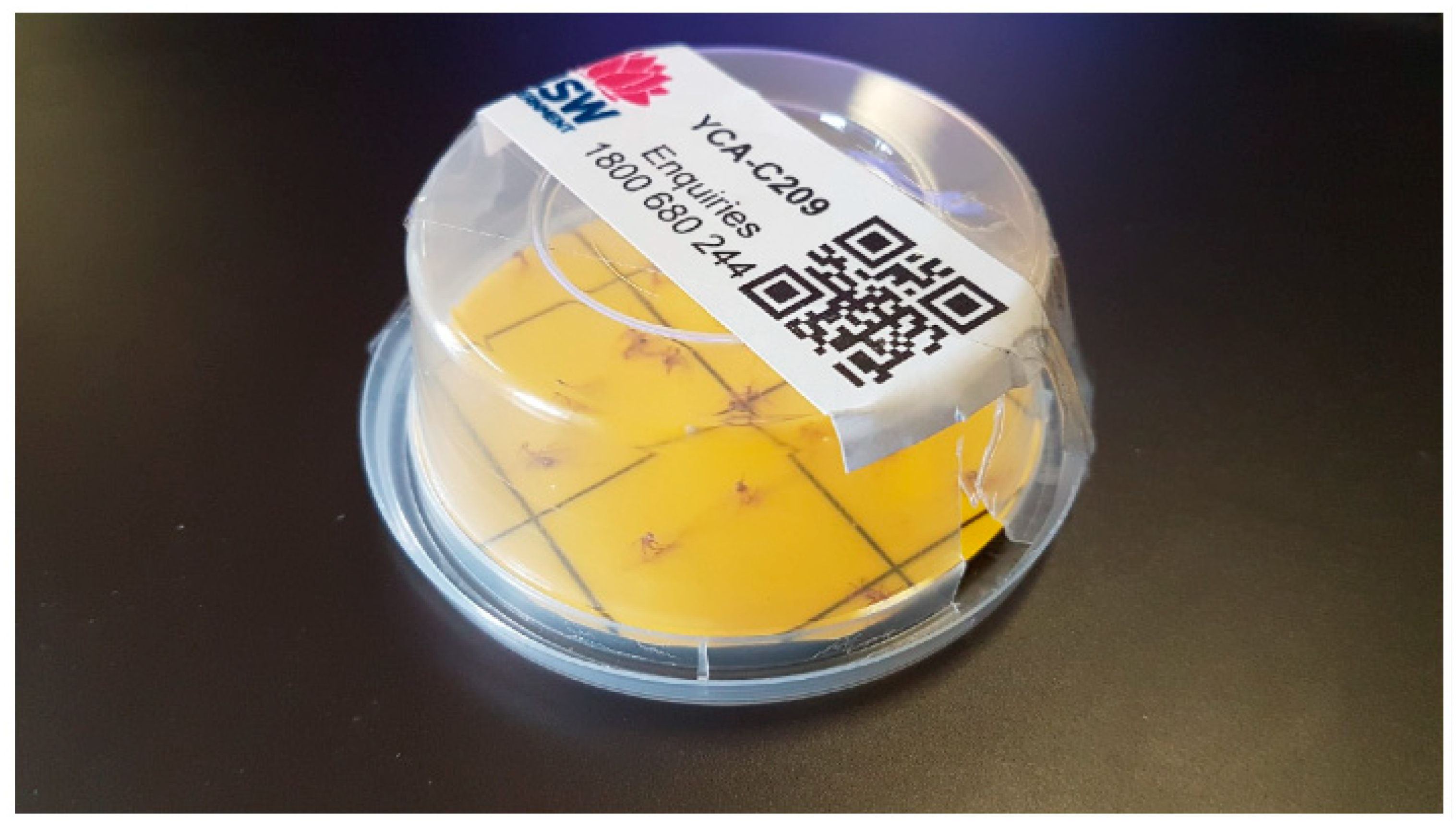 Insects 16 00117 g001