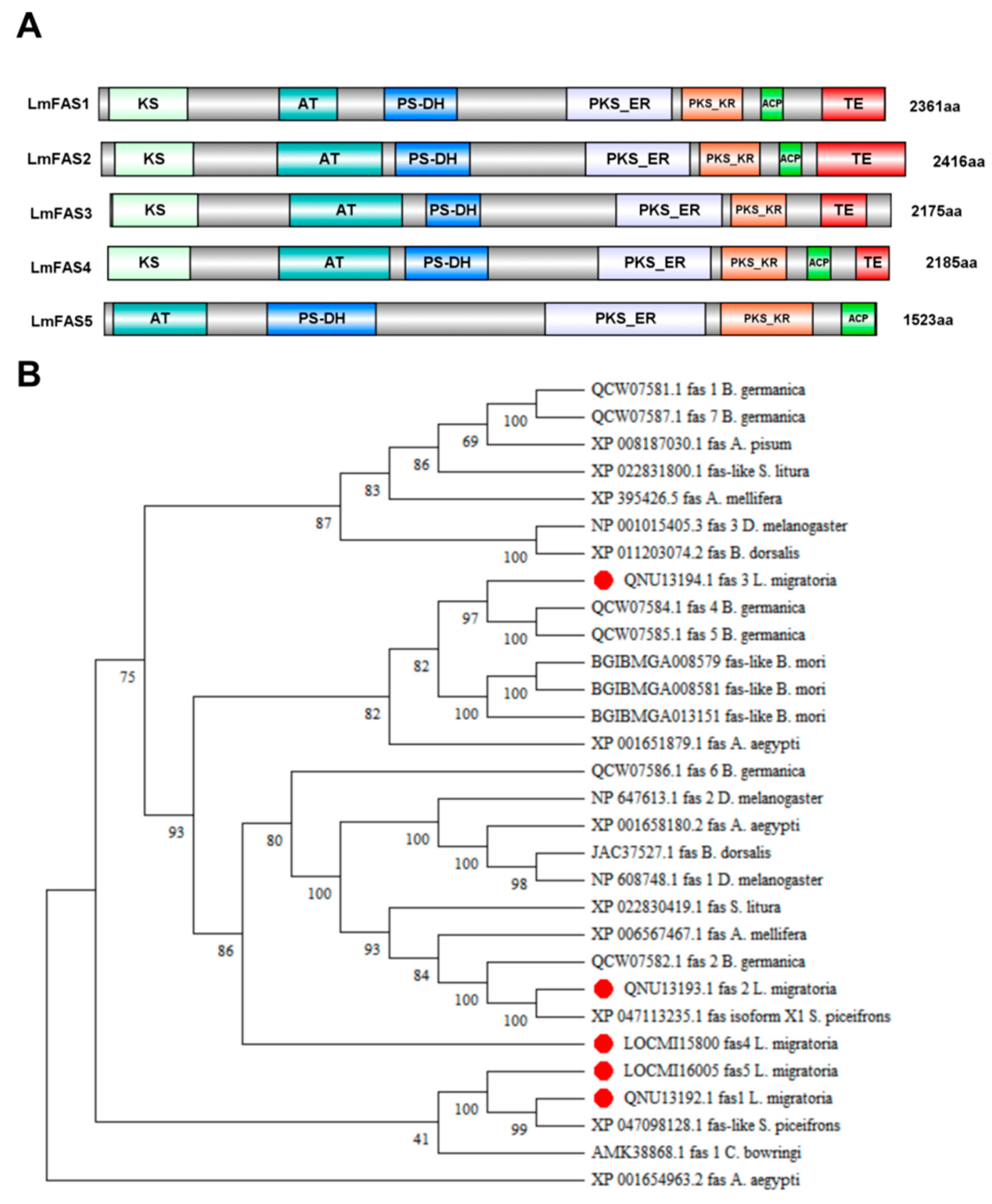 Insects 16 00120 g001