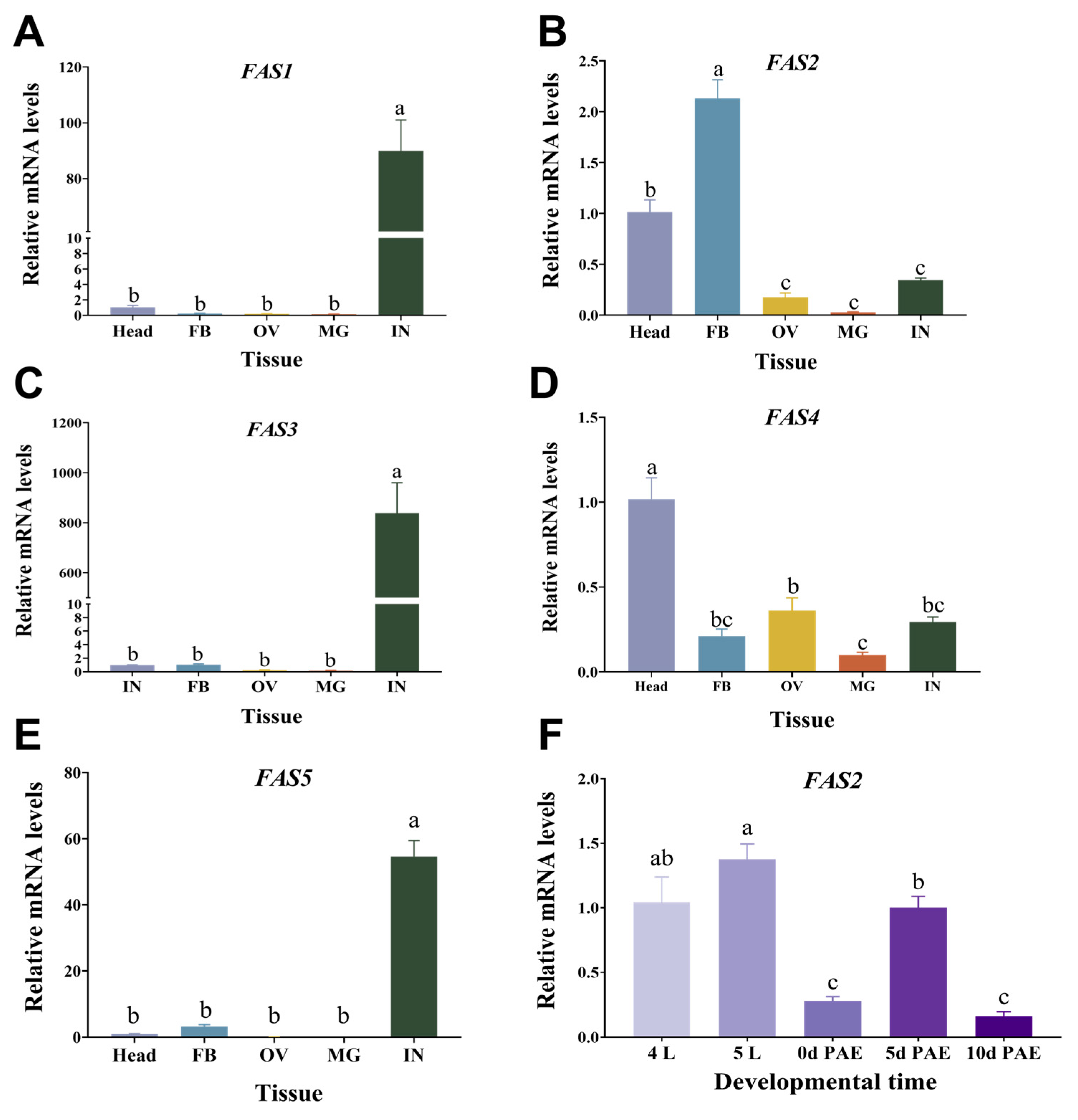 Insects 16 00120 g002