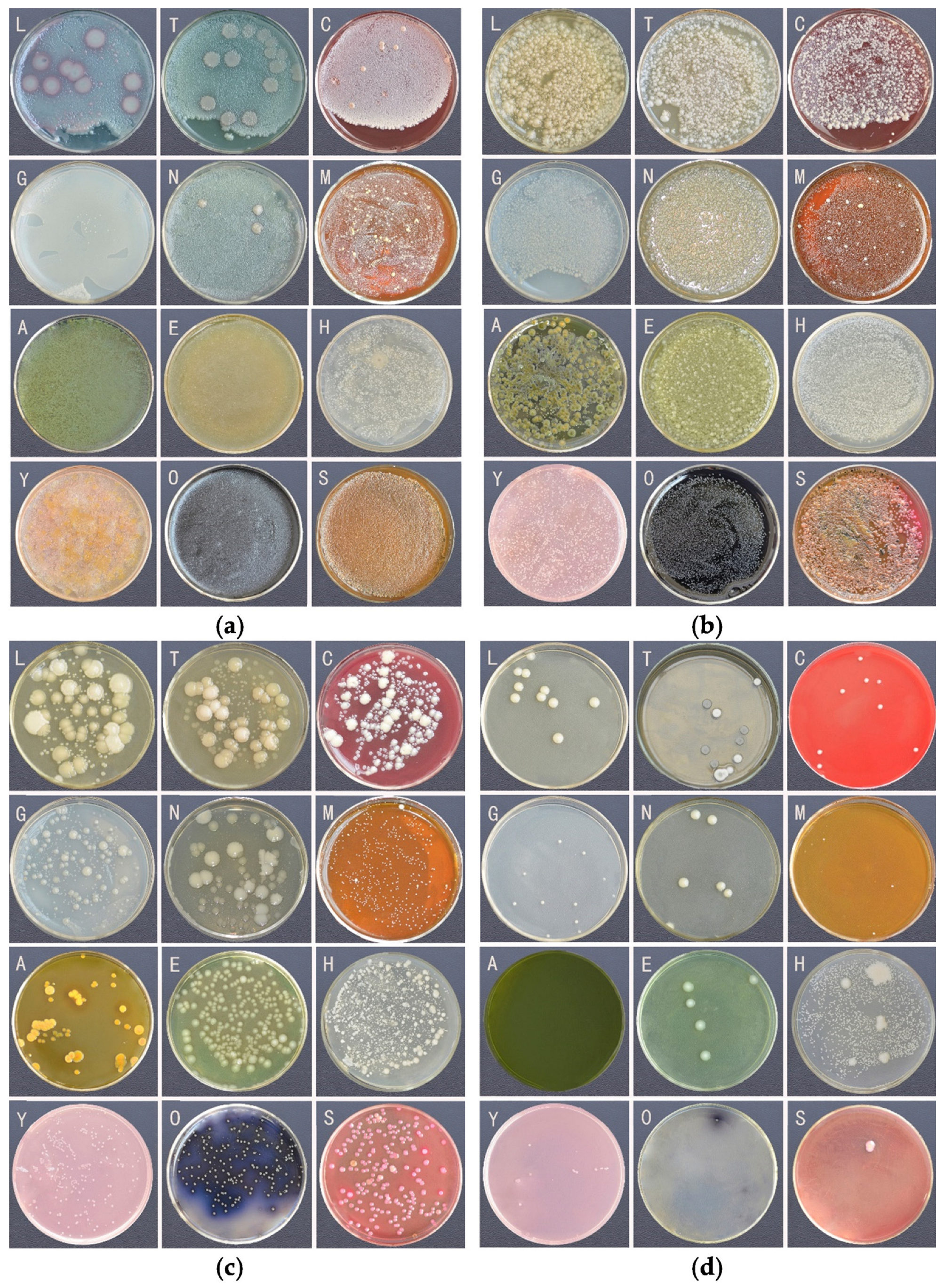 Insects 16 00123 g001