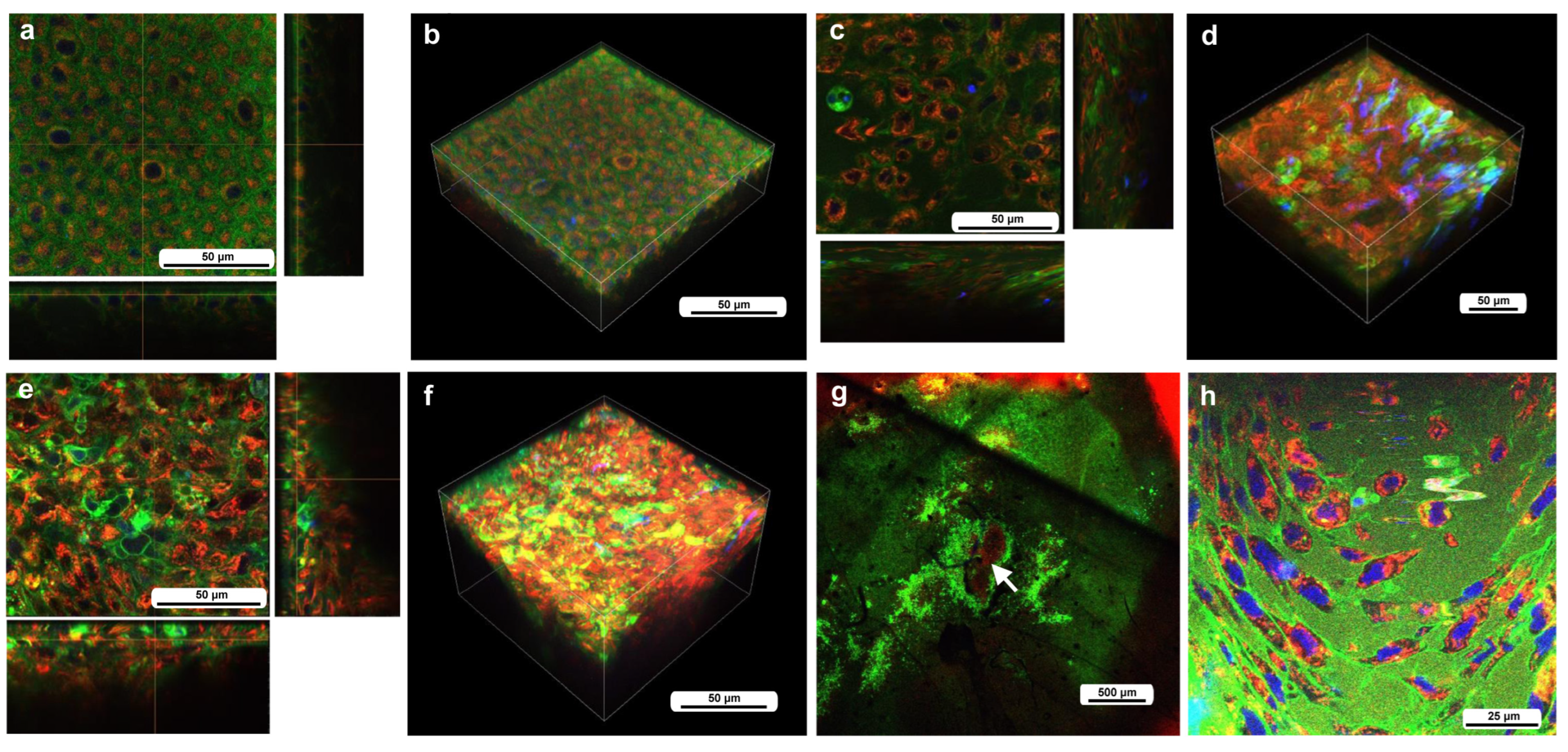 Insects 16 00124 g002 Insects 16 00124 g002