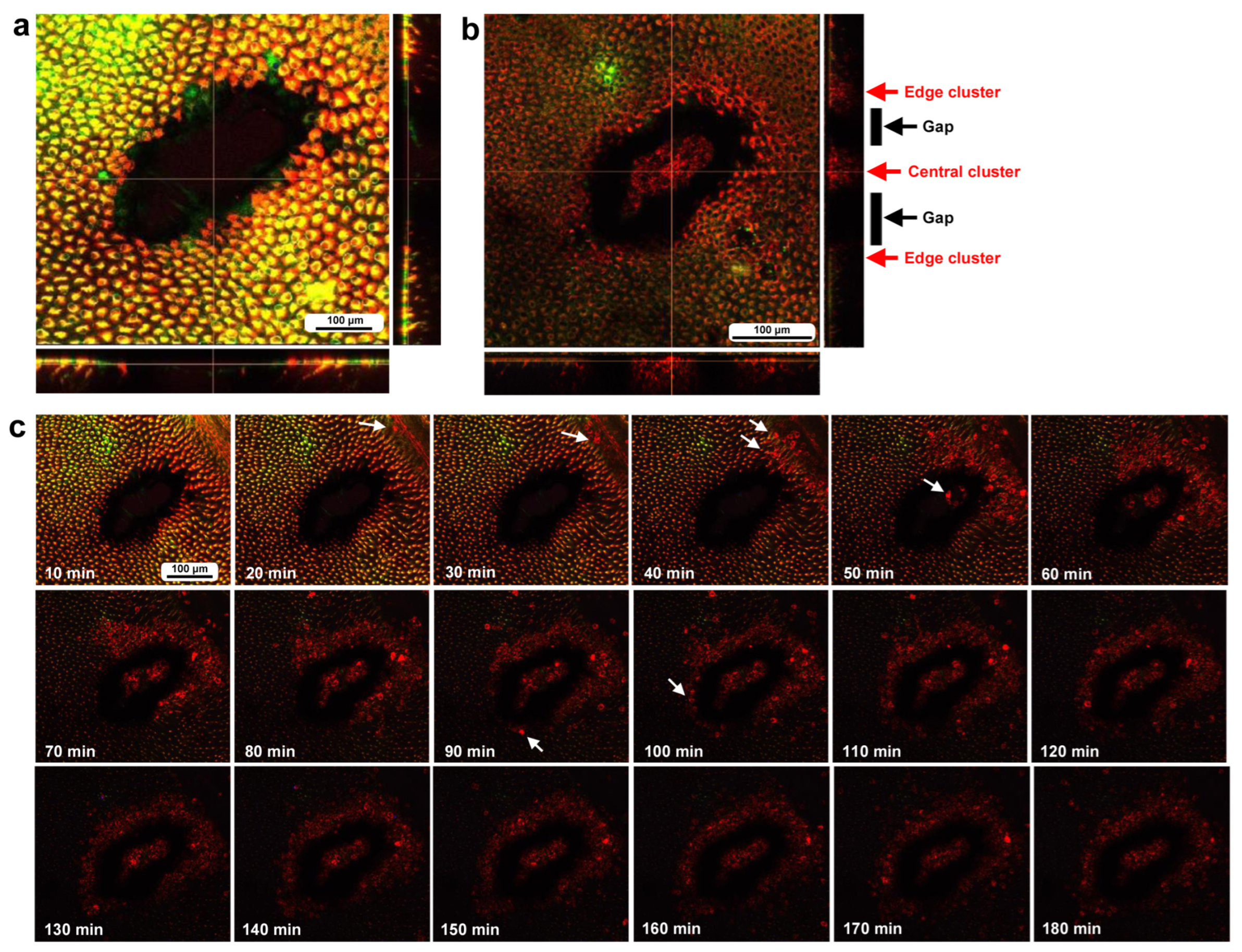 Insects 16 00124 g004 Insects 16 00124 g004
