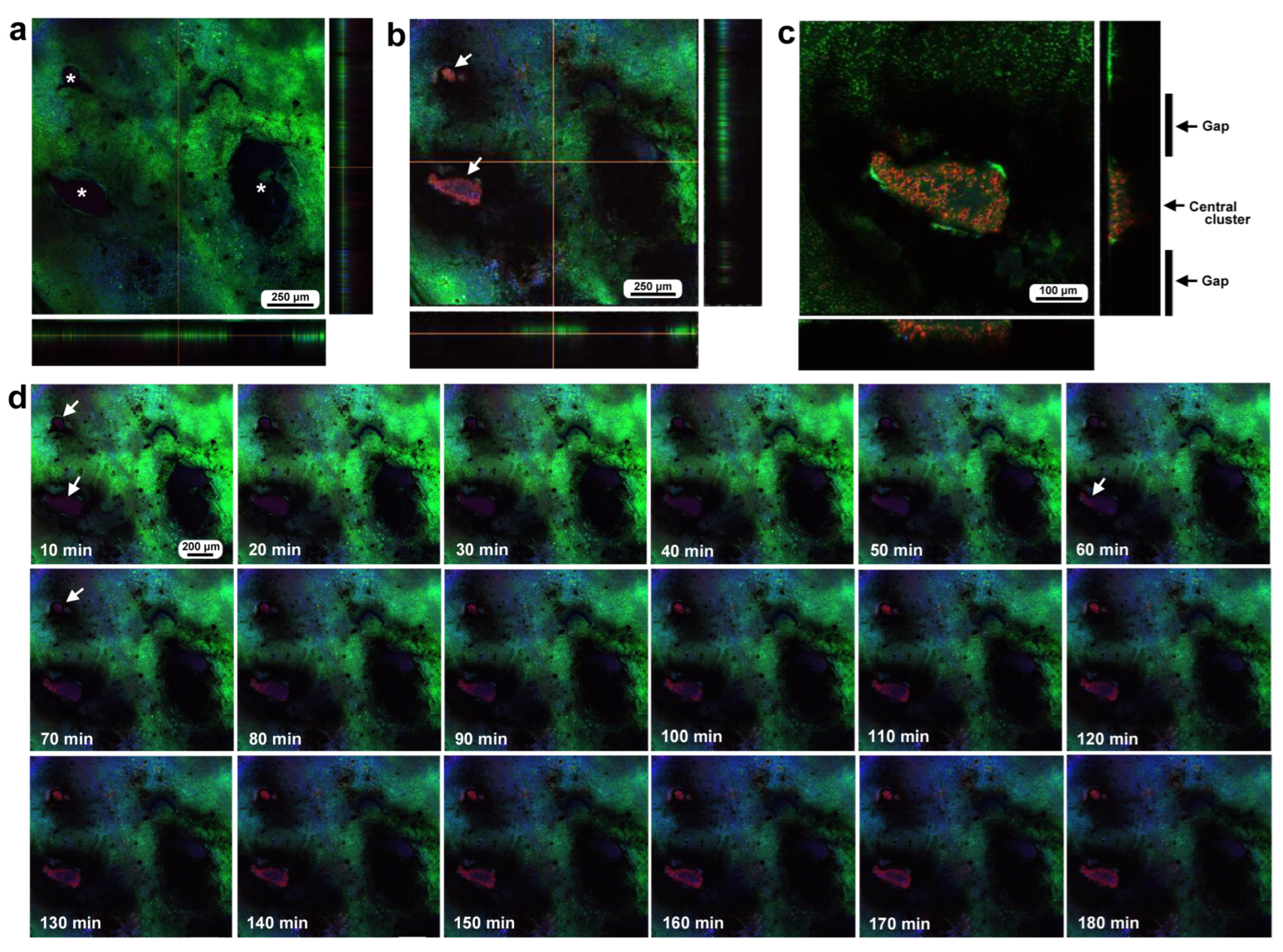 Insects 16 00124 g005 Insects 16 00124 g005