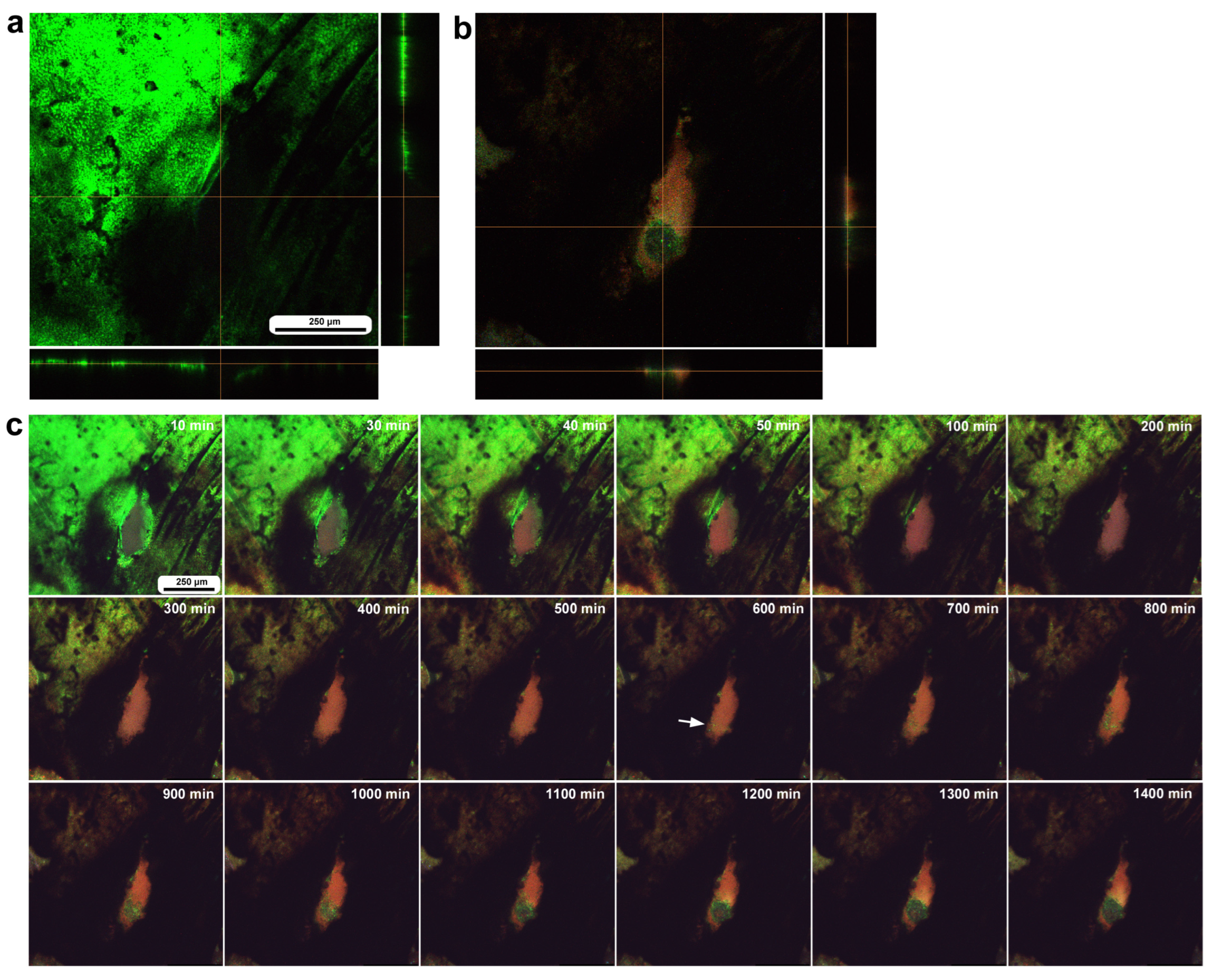 Insects 16 00124 g013 Insects 16 00124 g013