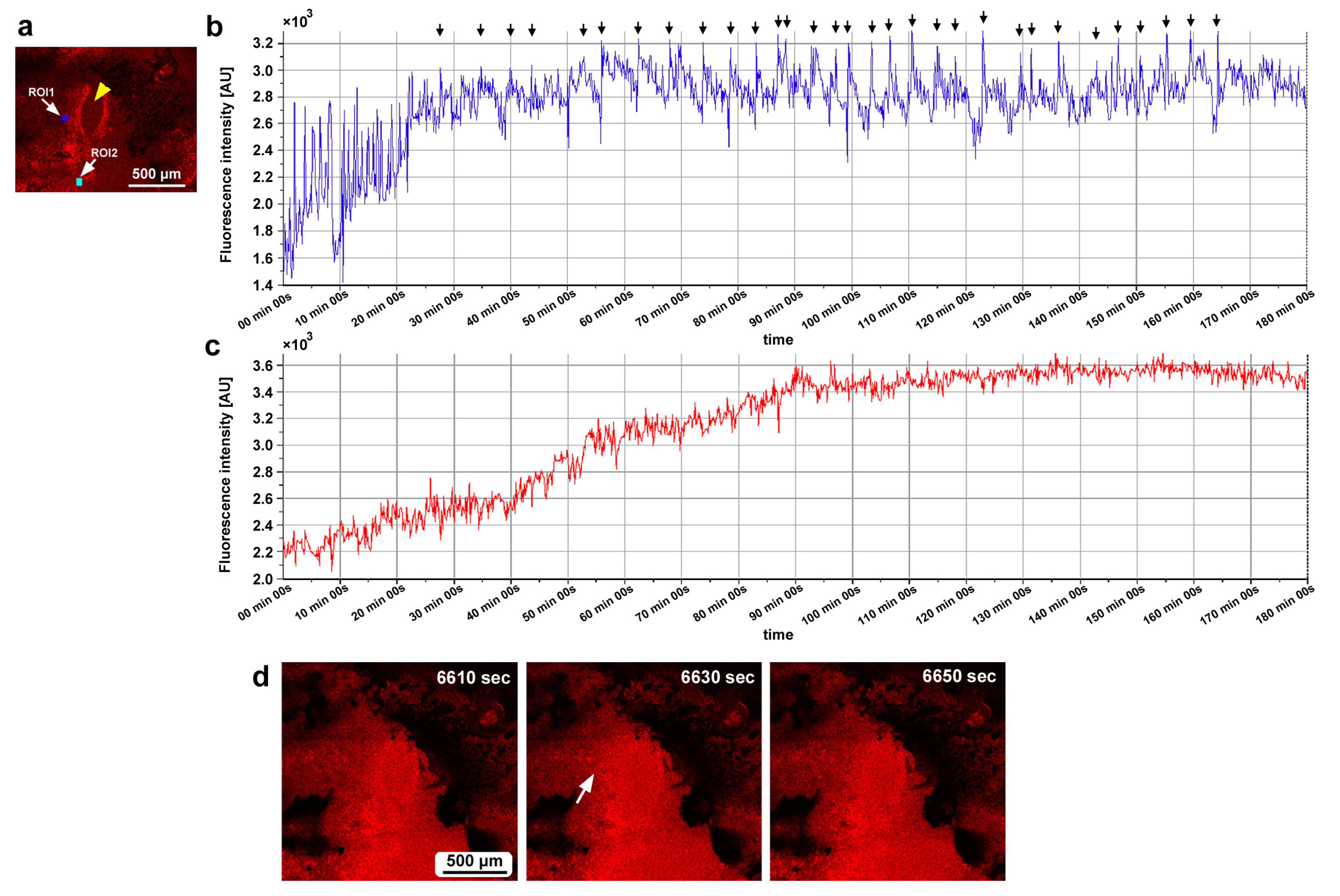 Insects 16 00124 g015 Insects 16 00124 g015