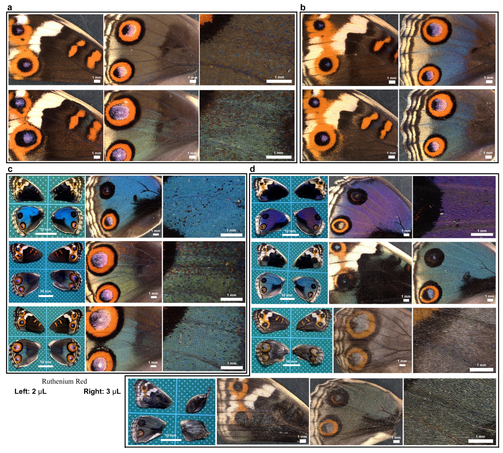 Insects 16 00124 g018 Insects 16 00124 g018