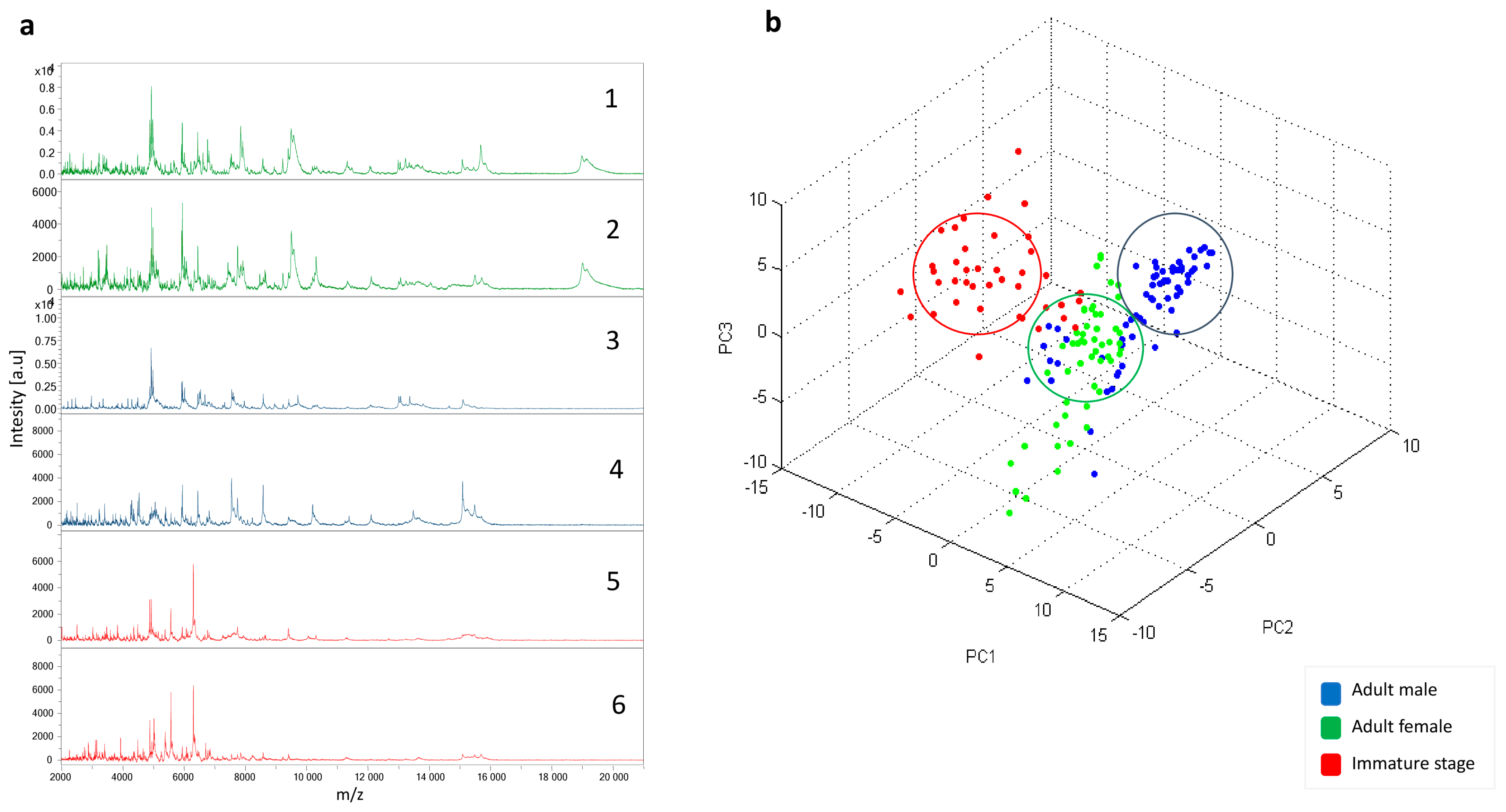 Insects 16 00148 g003