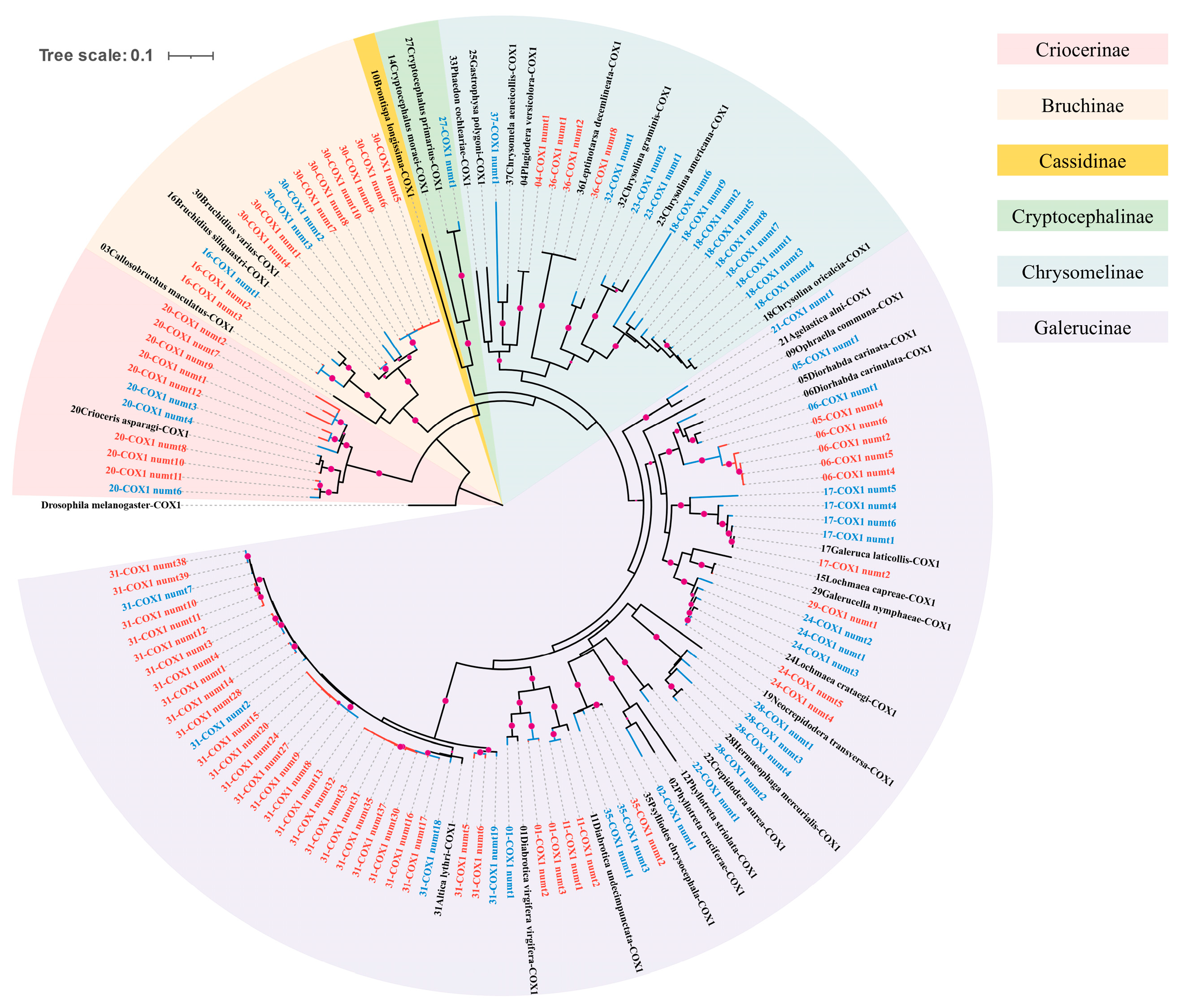 Insects 16 00150 g006