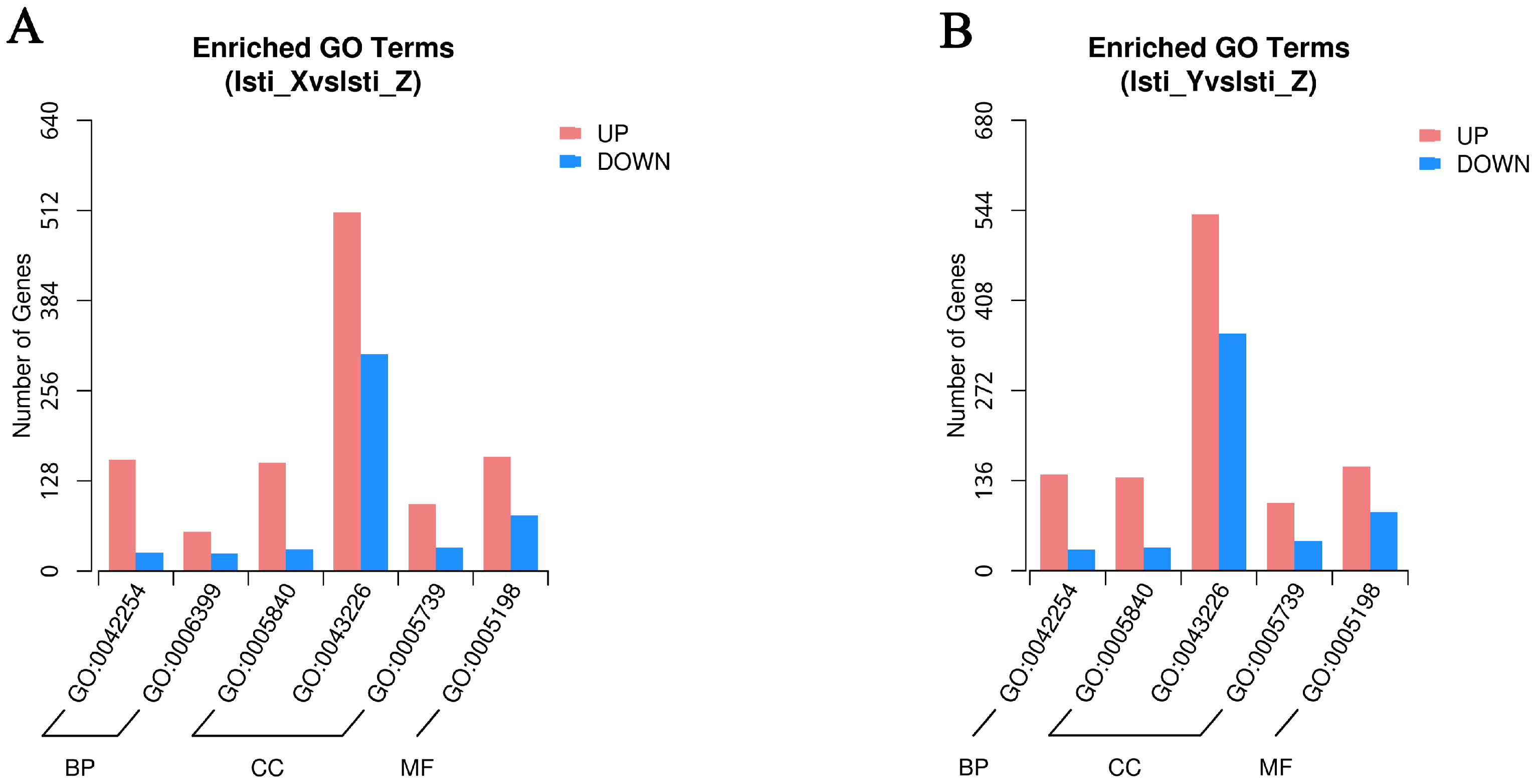 Linne 21720171-0-131737711.png