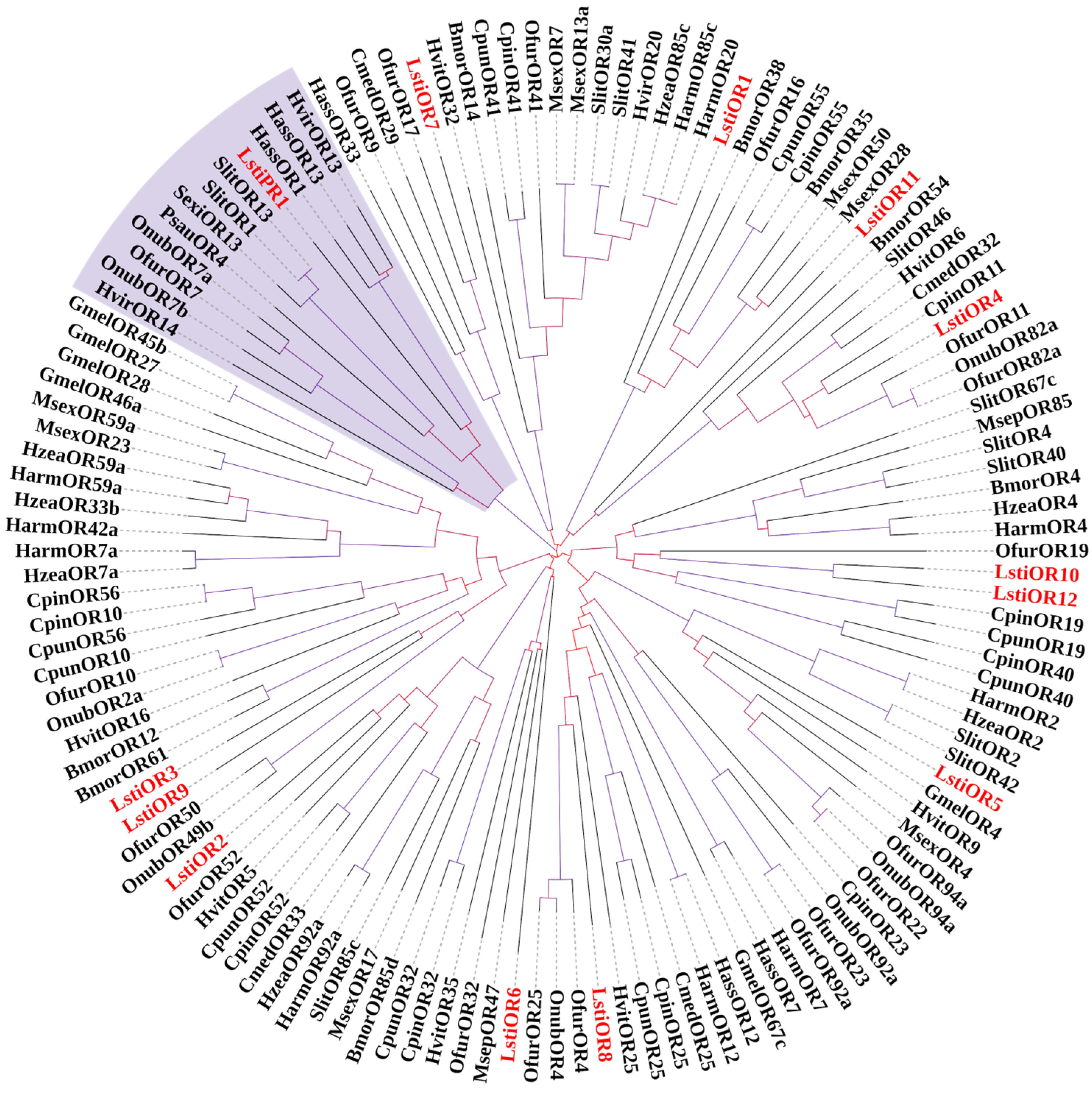 Insects 16 00152 g007 Insects 16 00152 g007