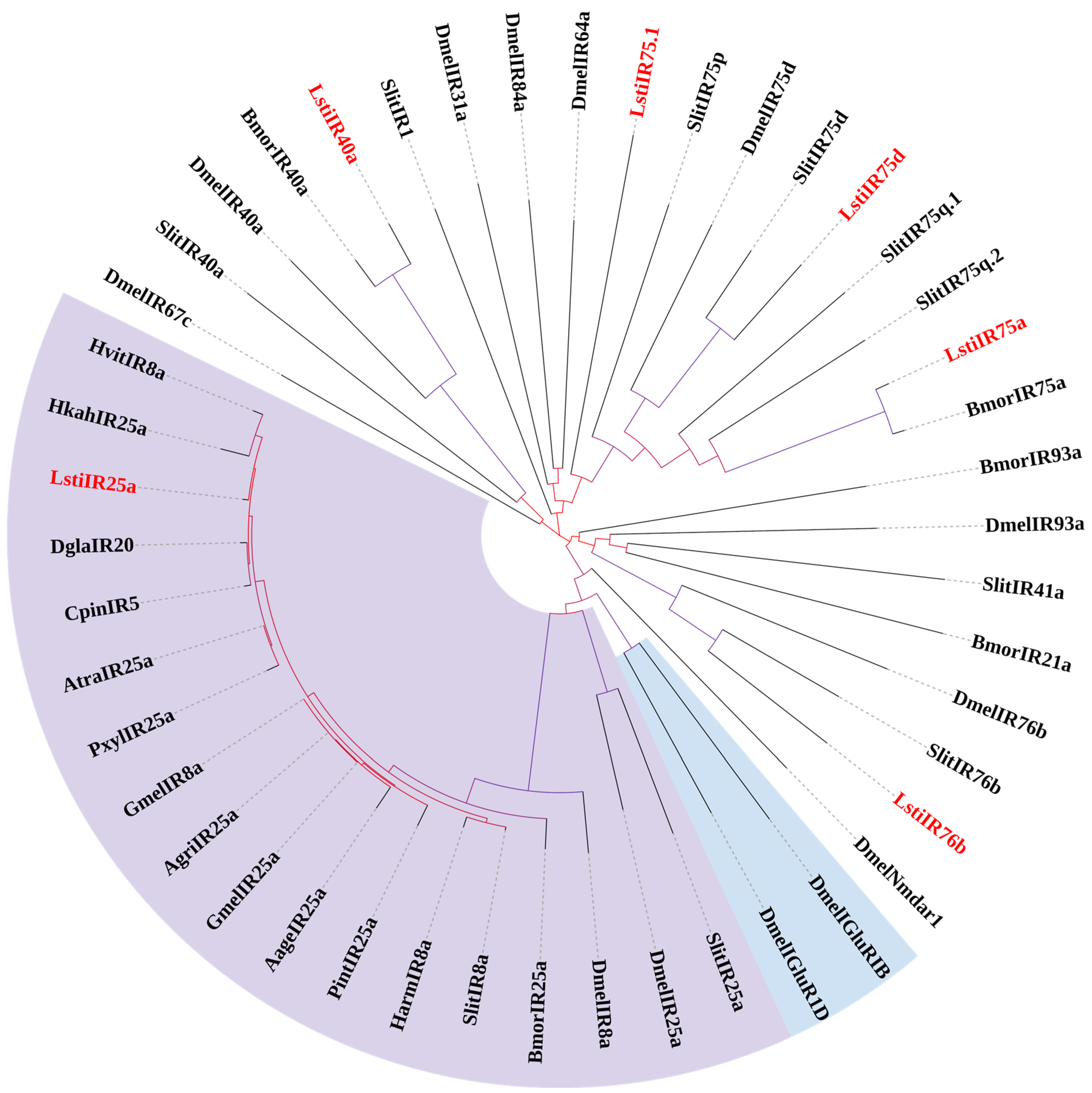 Insects 16 00152 g008 Insects 16 00152 g008