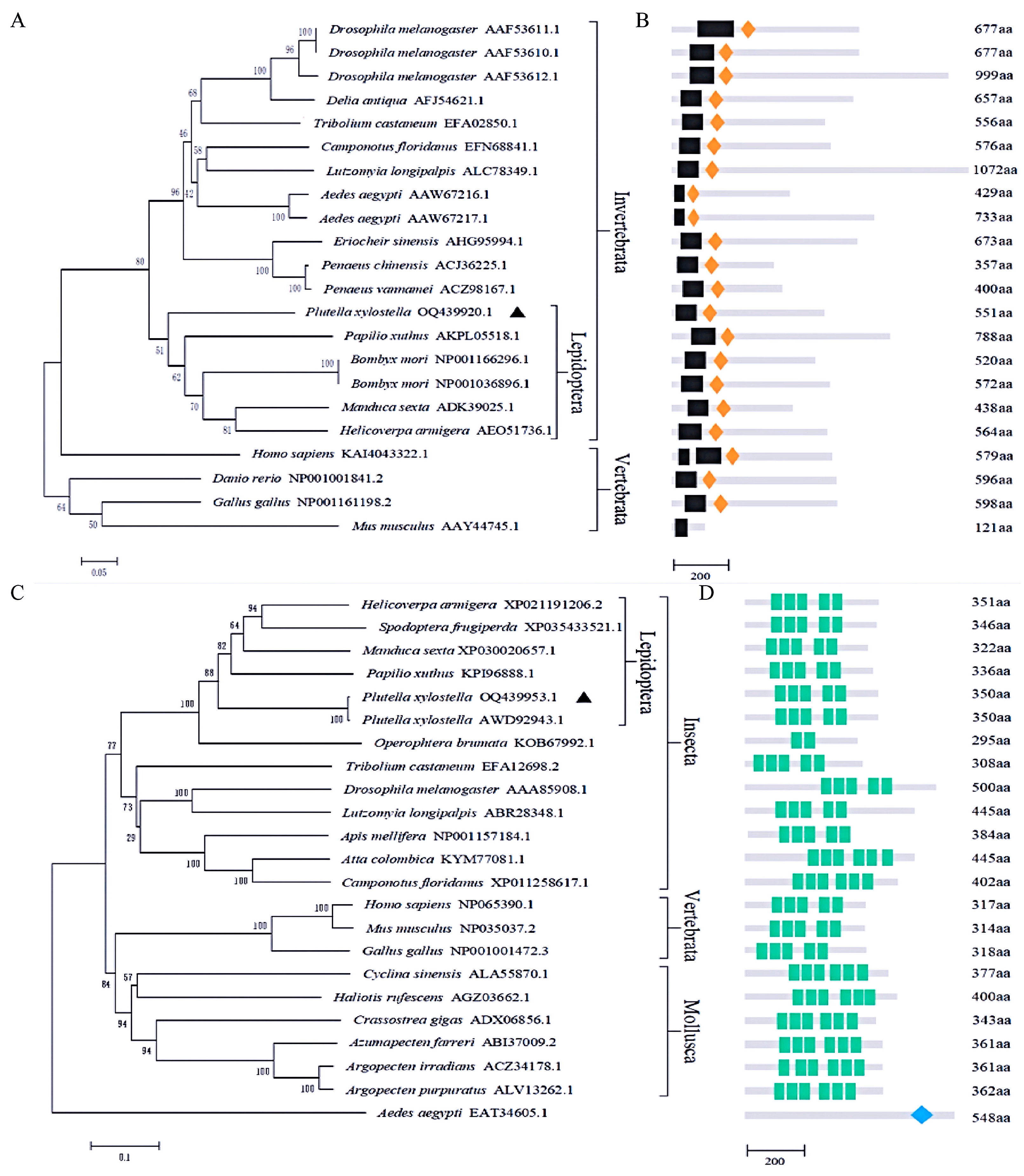 Insects 16 00163 g001 Insects 16 00163 g001