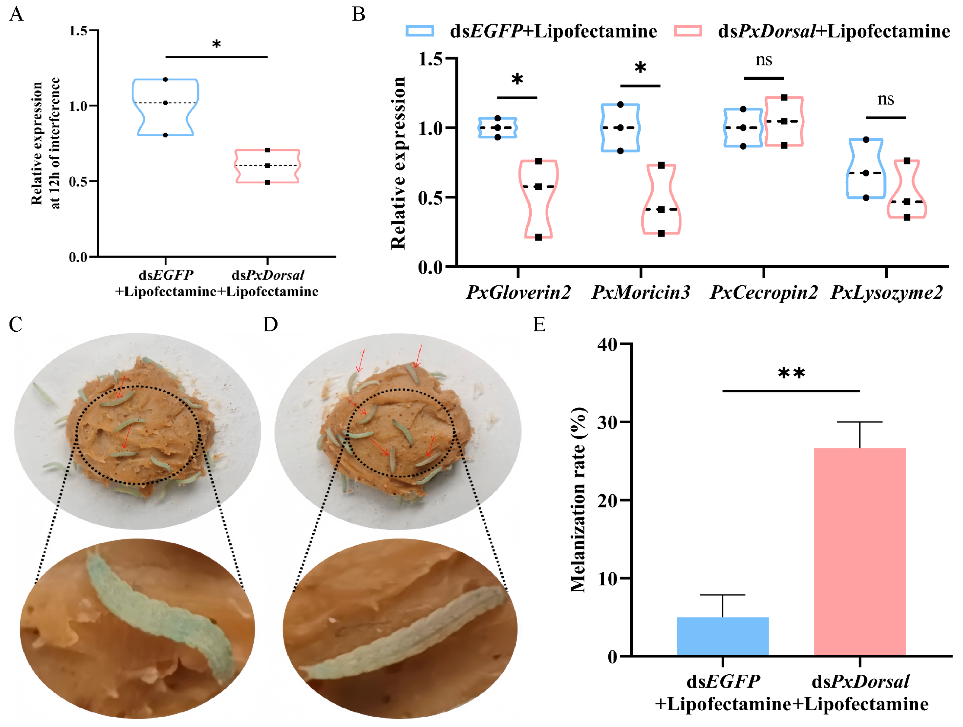 Insects 16 00163 g005 Insects 16 00163 g005