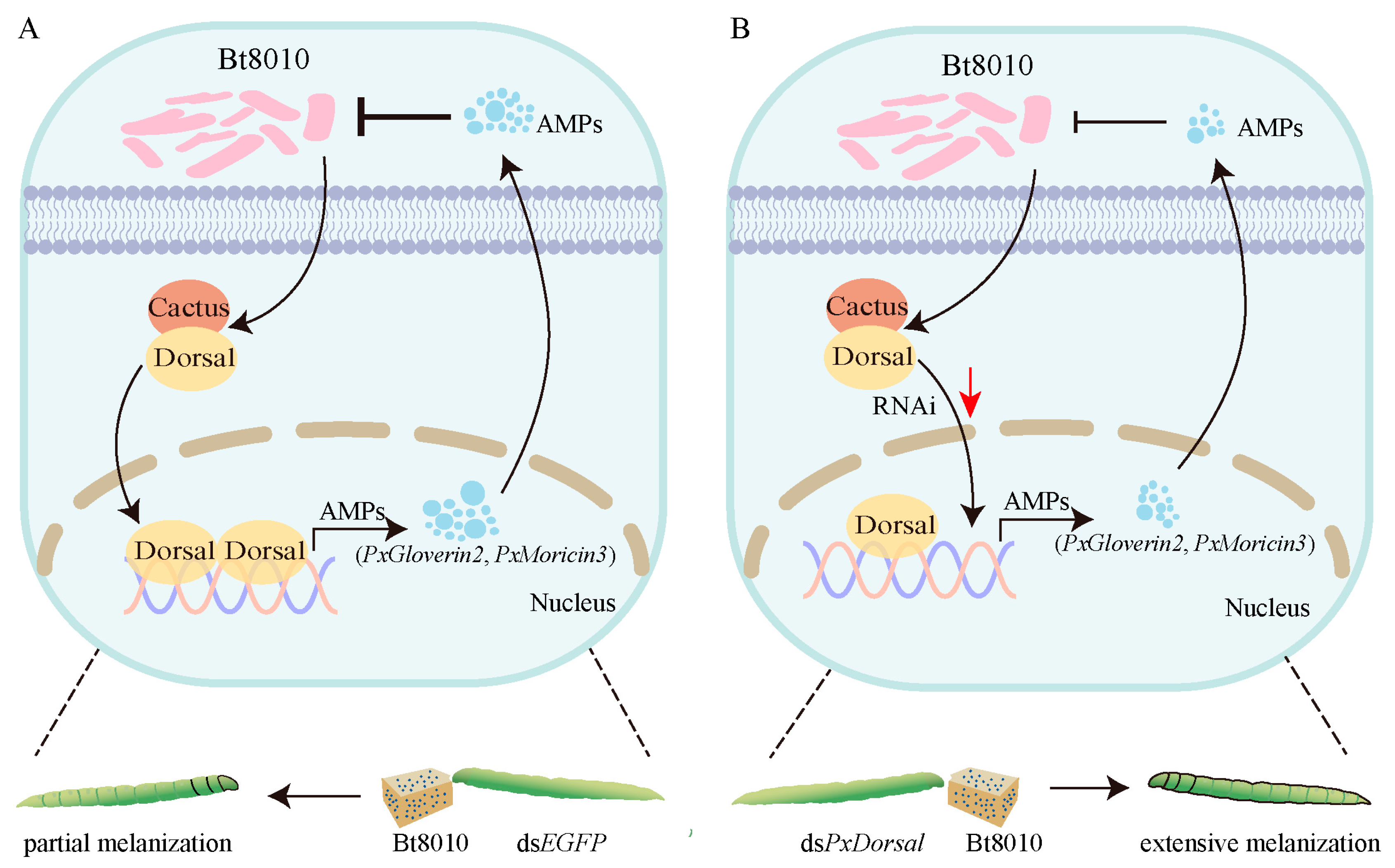 Insects 16 00163 g006 Insects 16 00163 g006