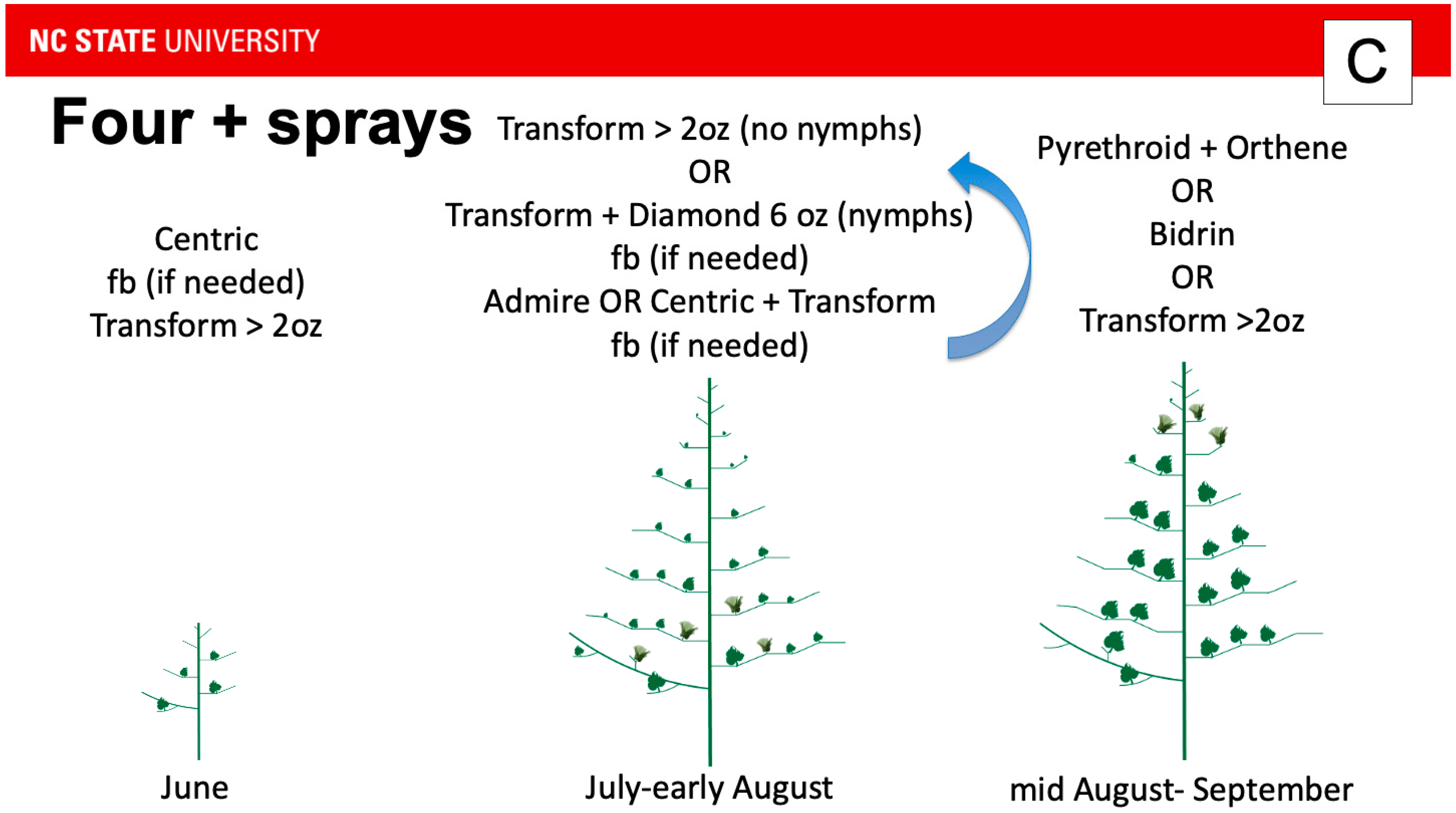 Insects 16 00164 g003b Insects 16 00164 g003b