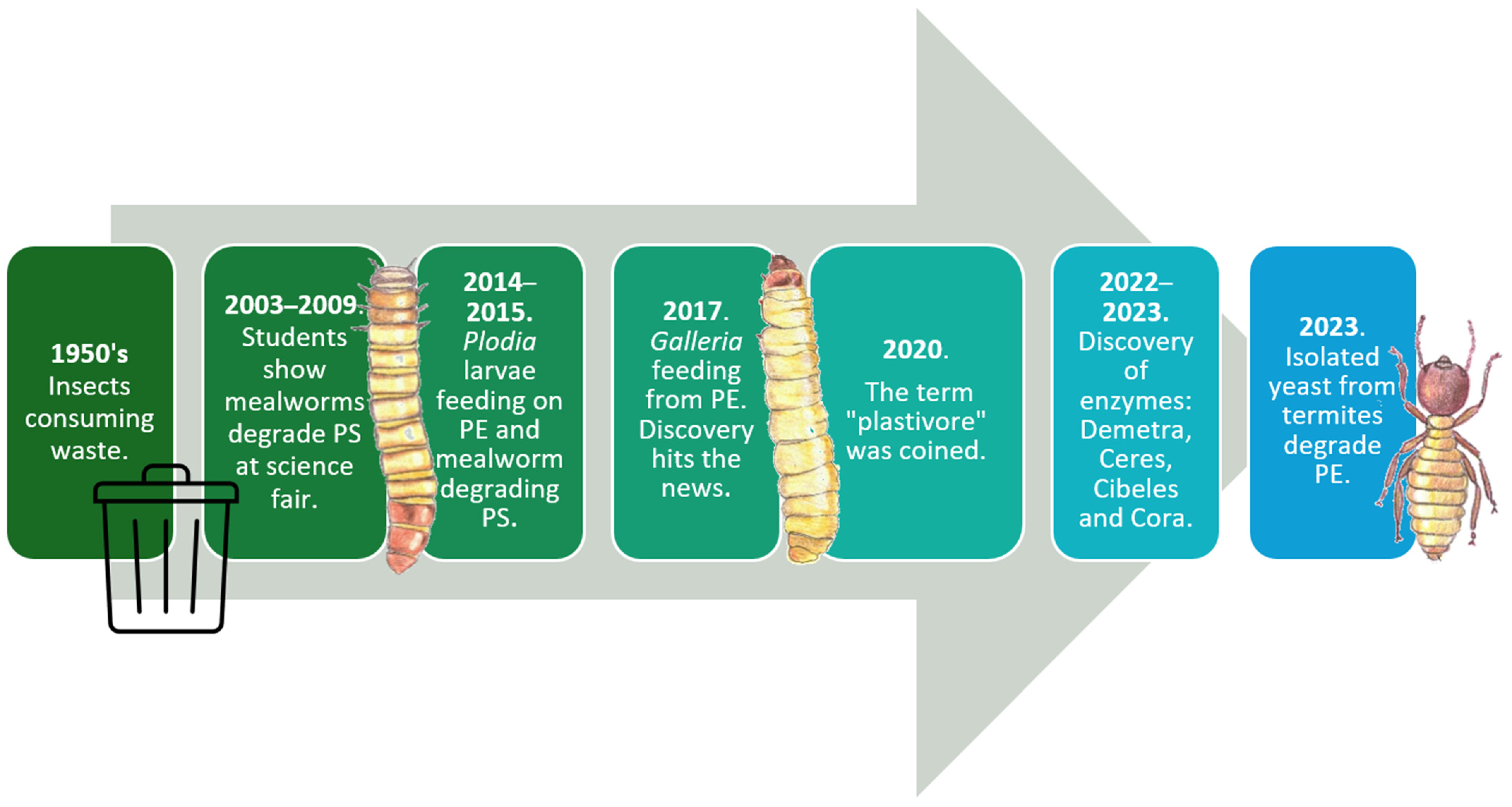 Insects 16 00165 g001 Insects 16 00165 g001