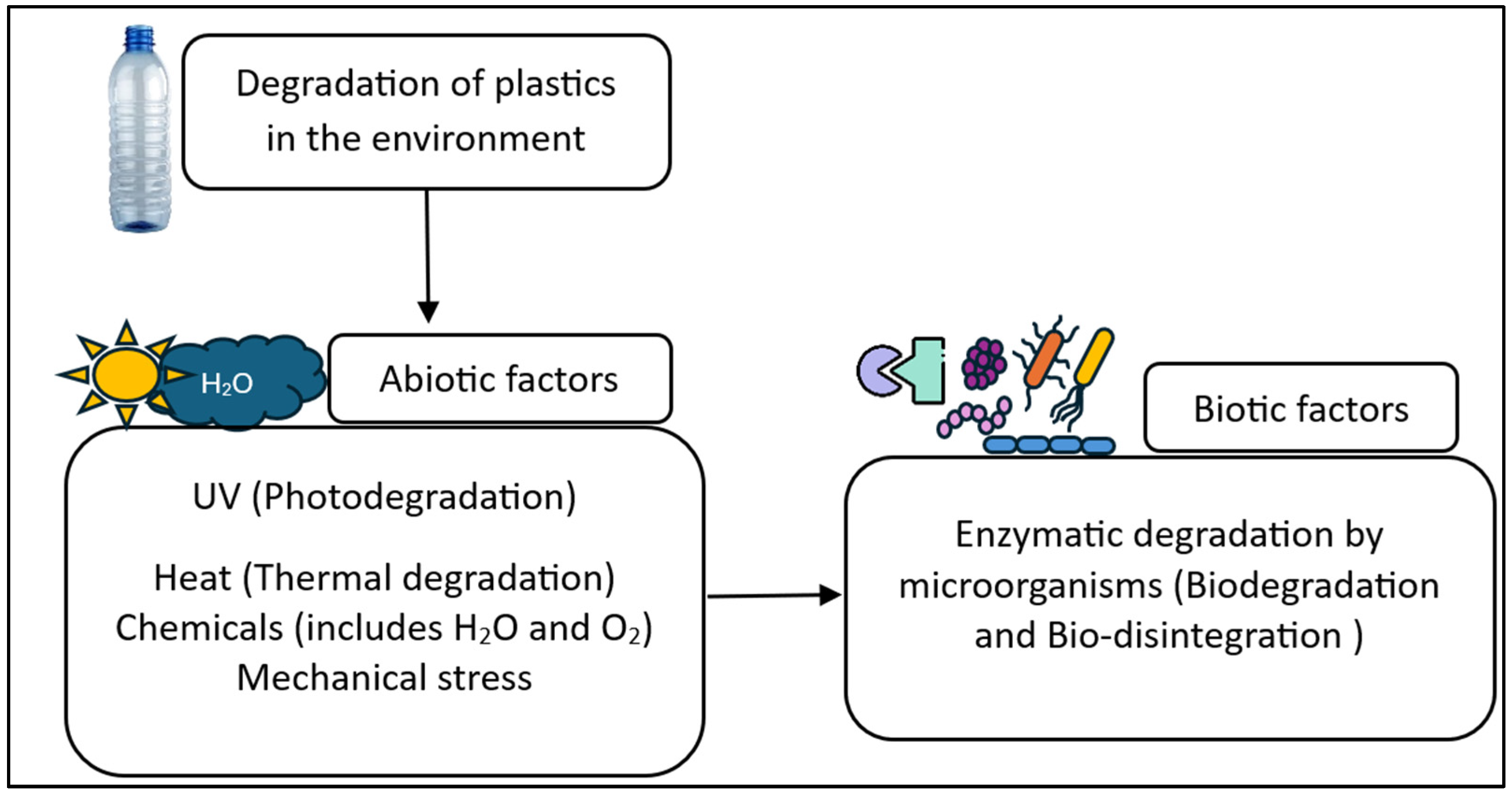 Insects 16 00165 g003 Insects 16 00165 g003