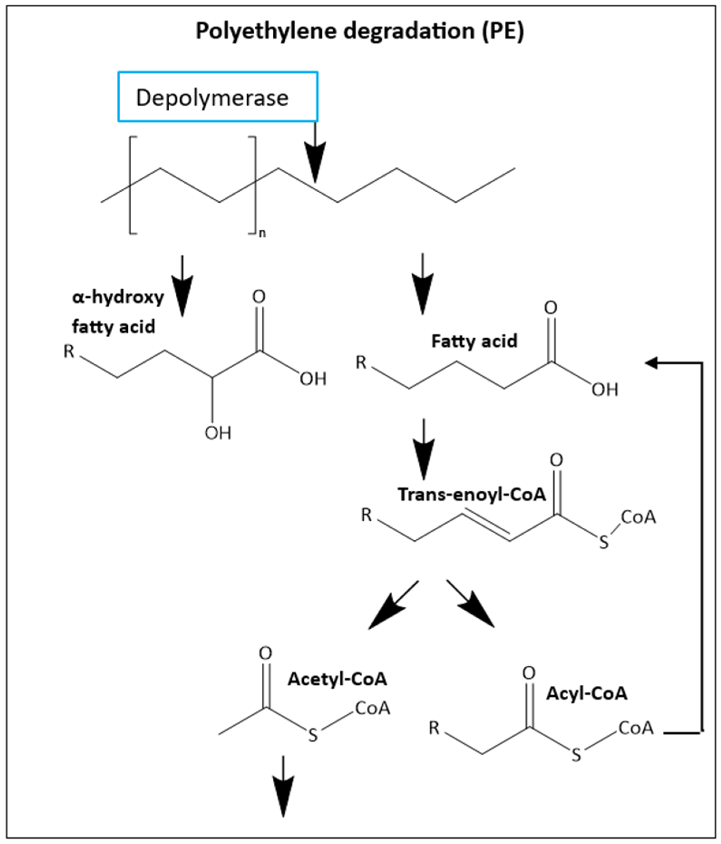 Insects 16 00165 g009 Insects 16 00165 g009