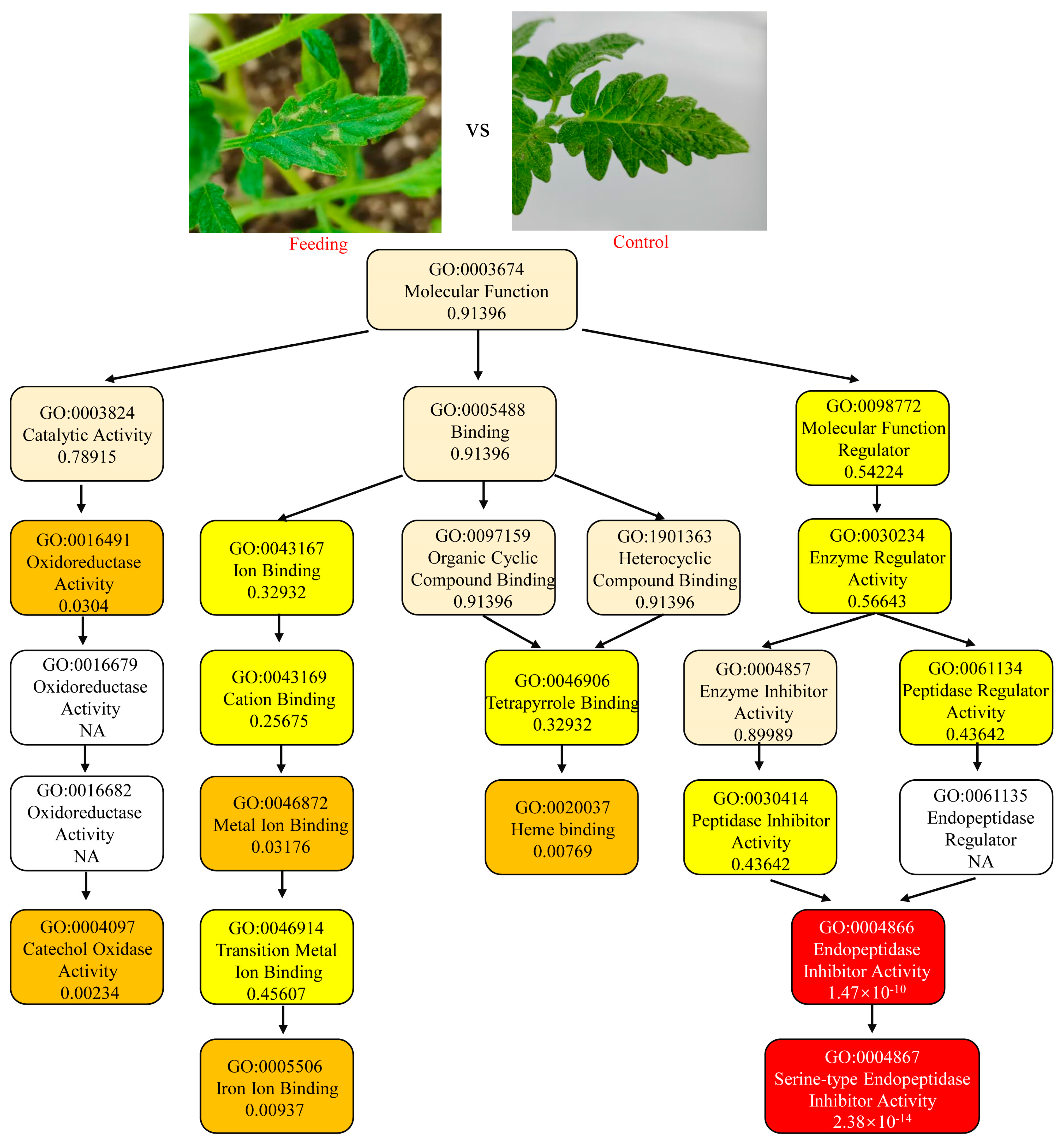 Insects 16 00166 g001