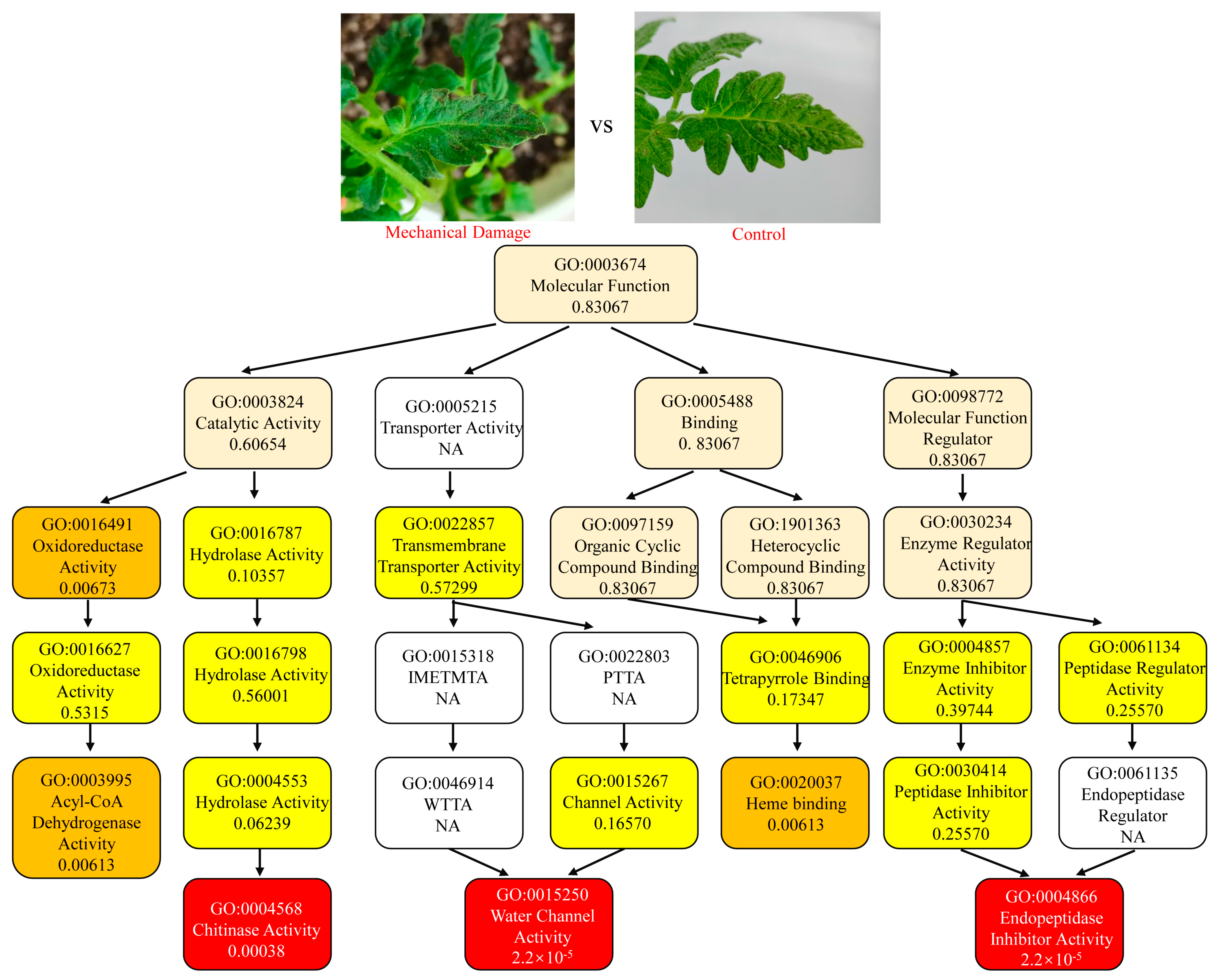 Insects 16 00166 g002