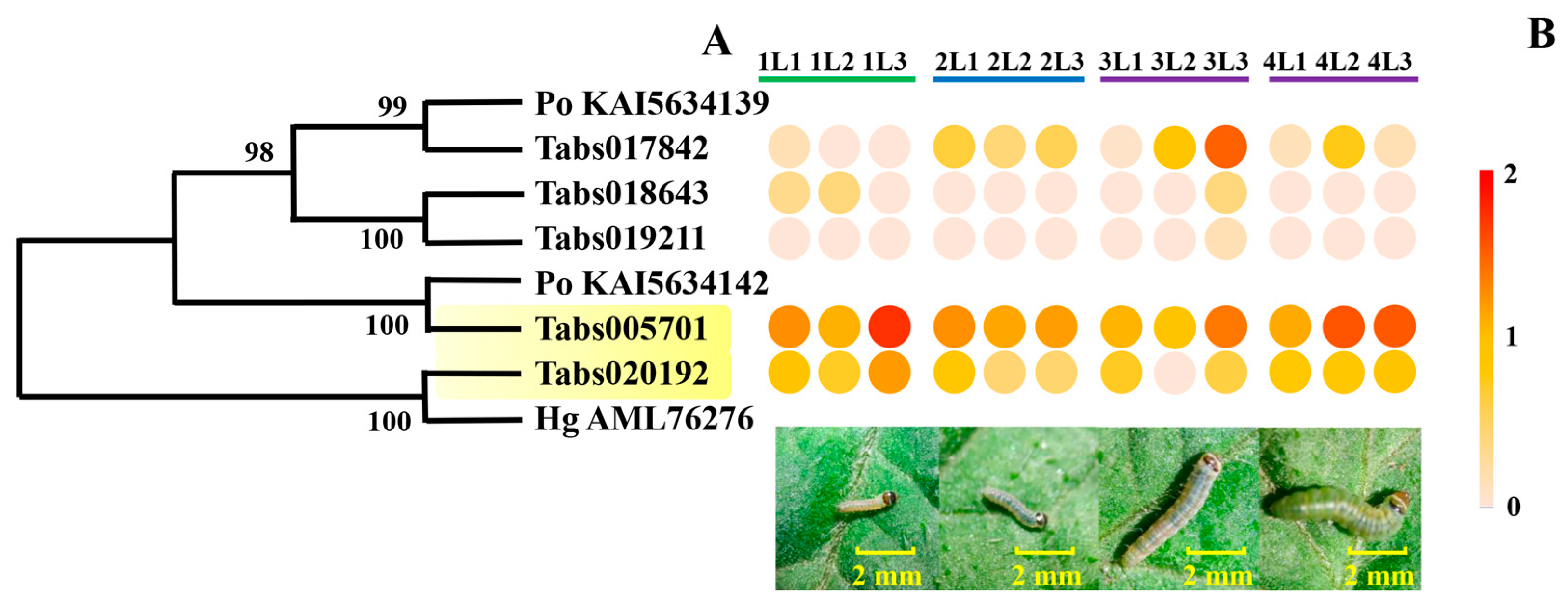 Insects 16 00166 g005
