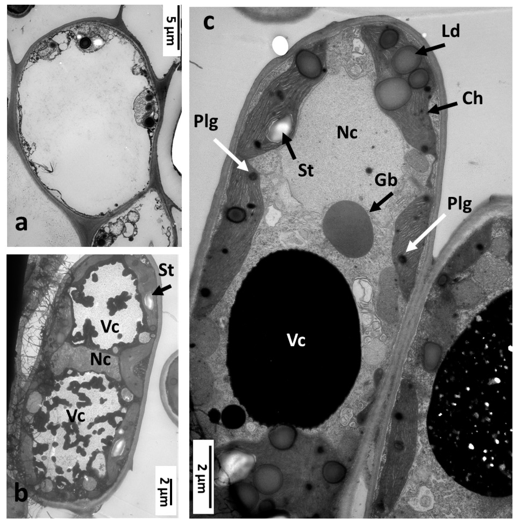 Insects 16 00173 g008