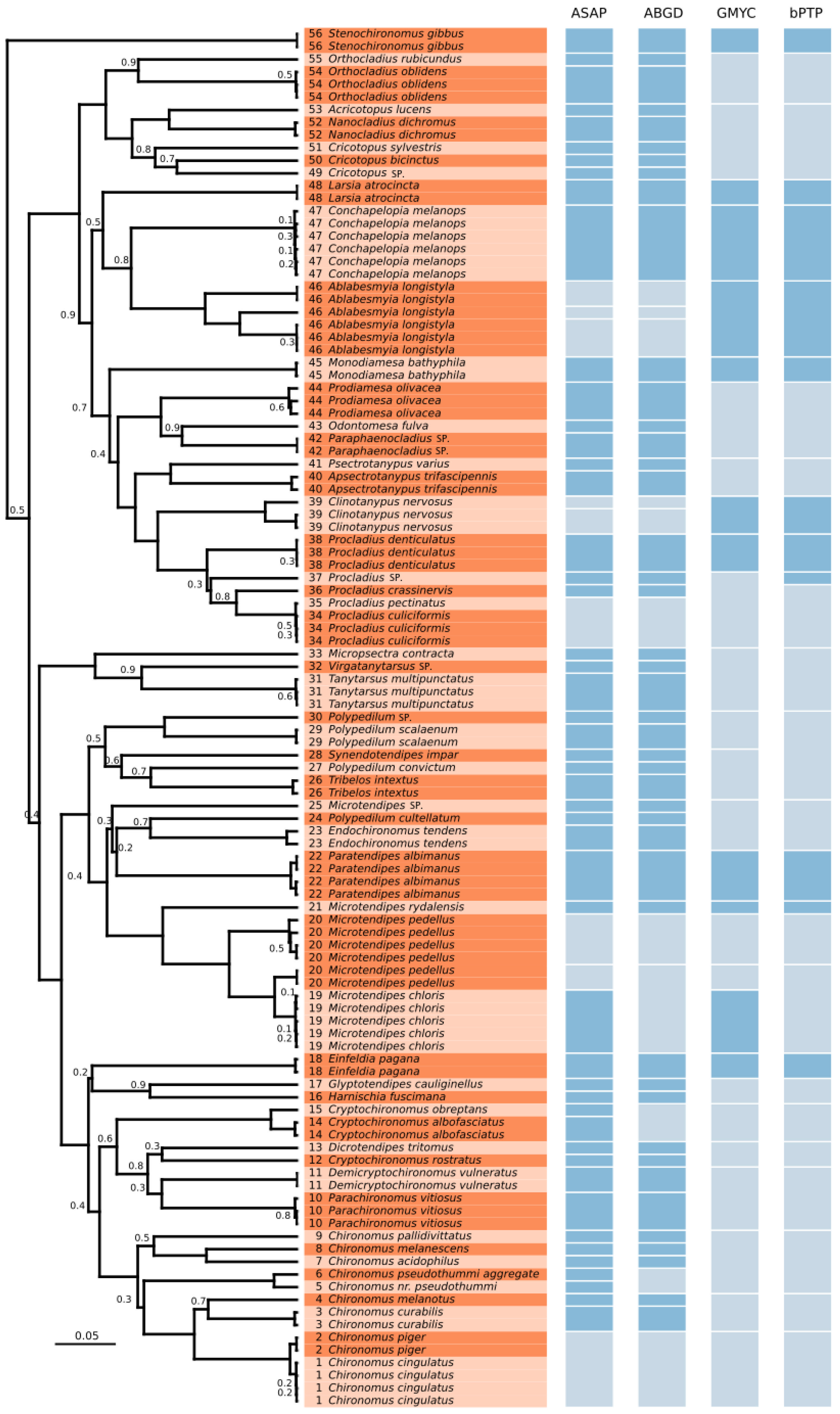Insects 16 00174 g001