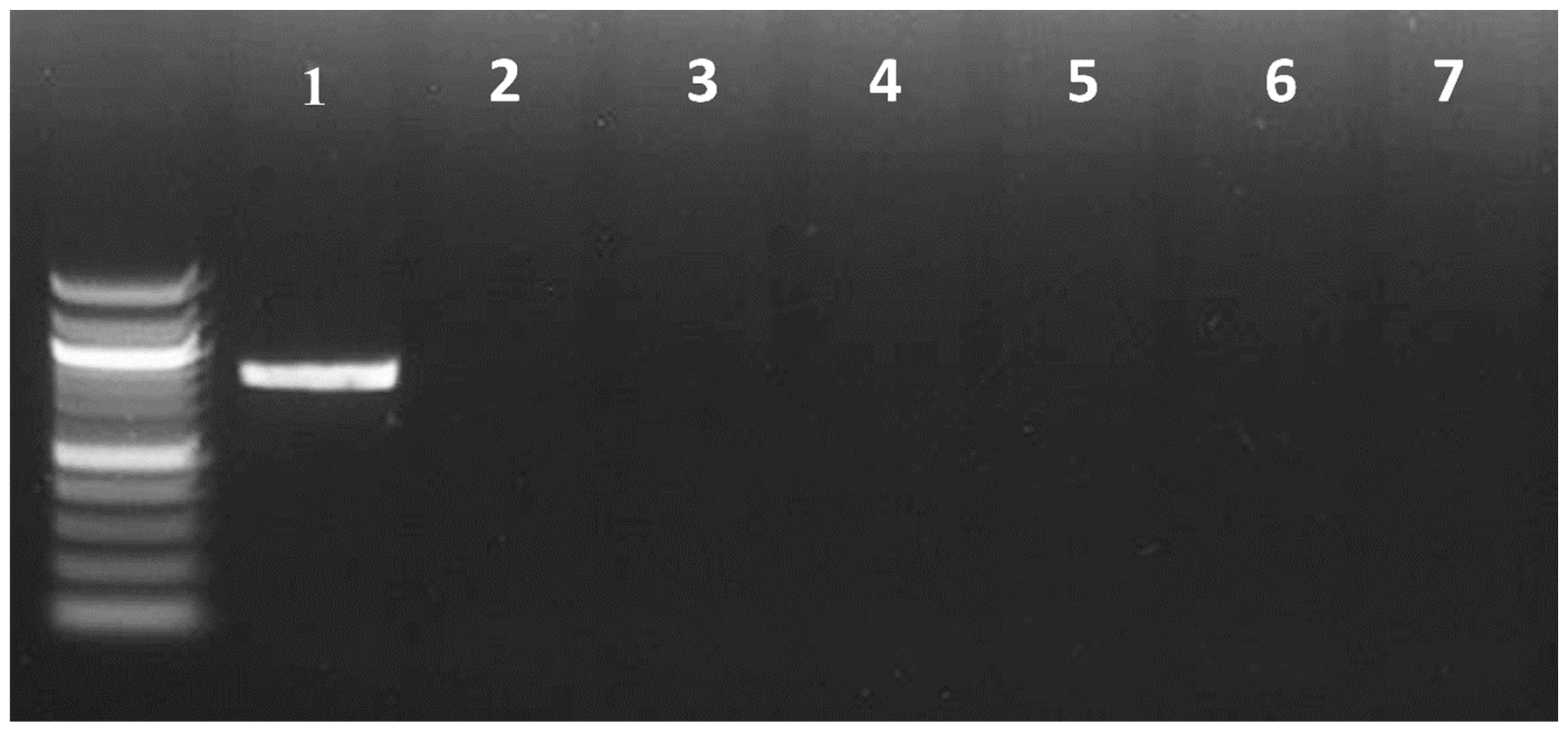 Insects 16 00179 g002