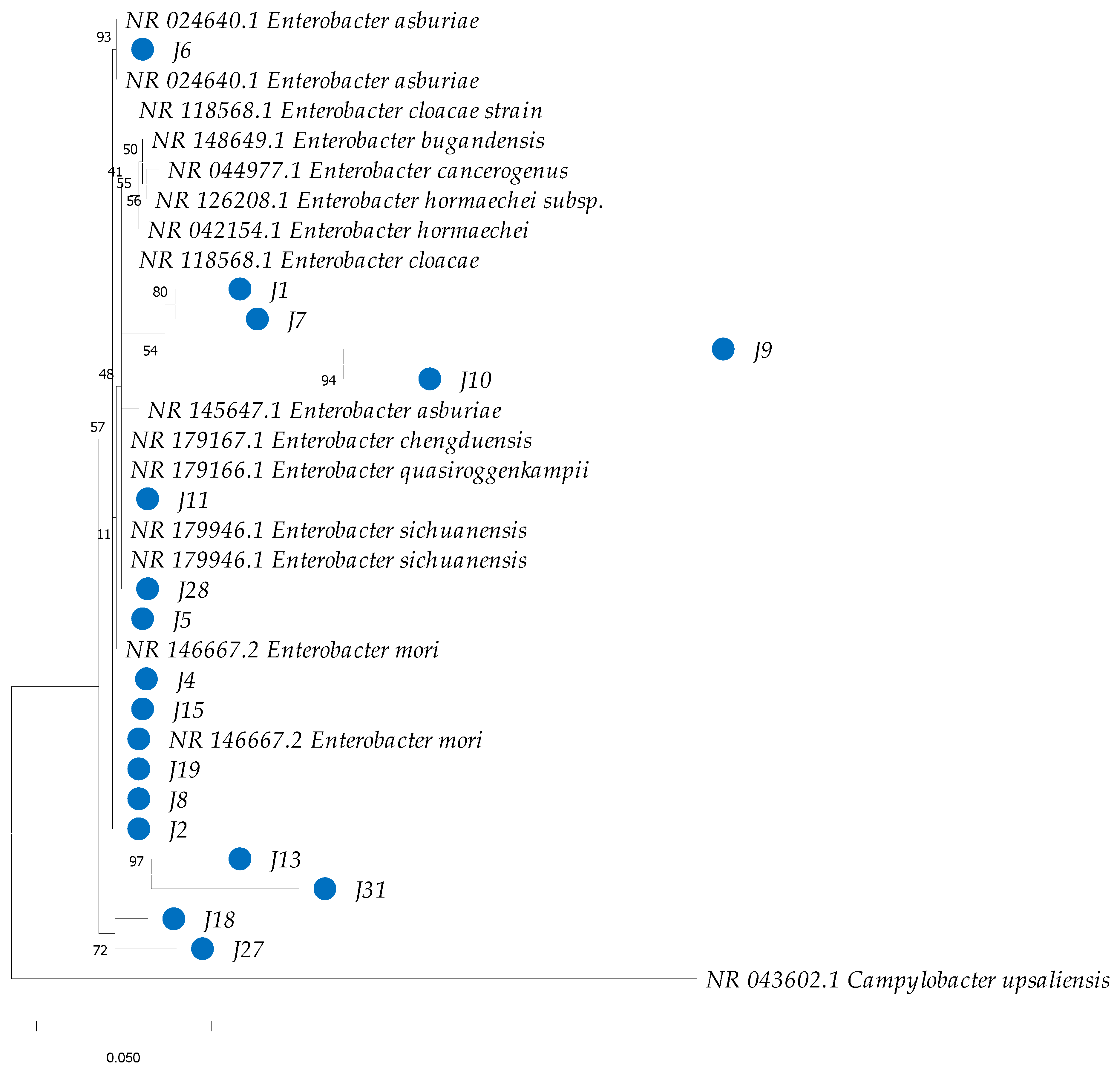 Insects 16 00181 g006