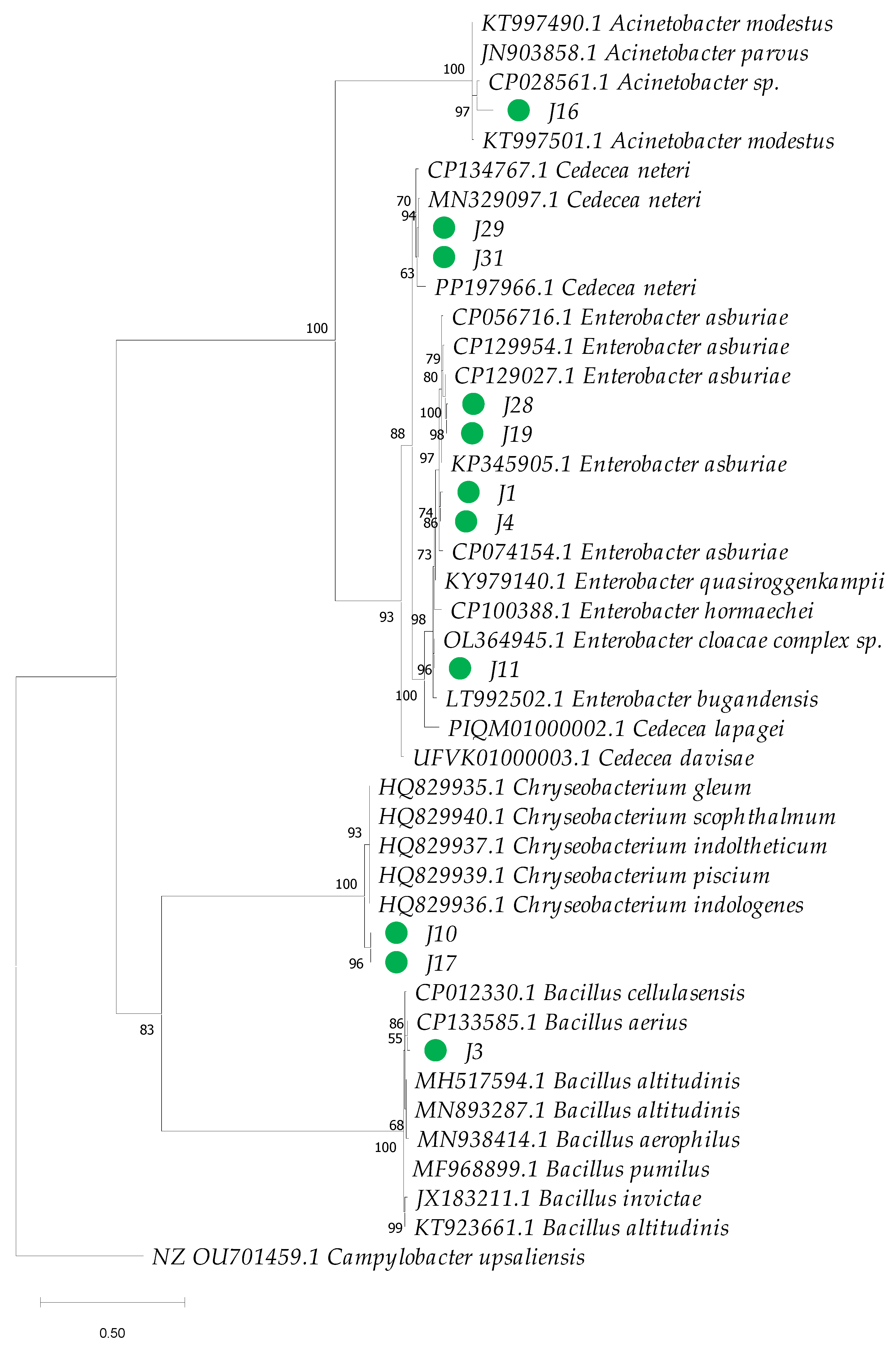 Insects 16 00181 g007