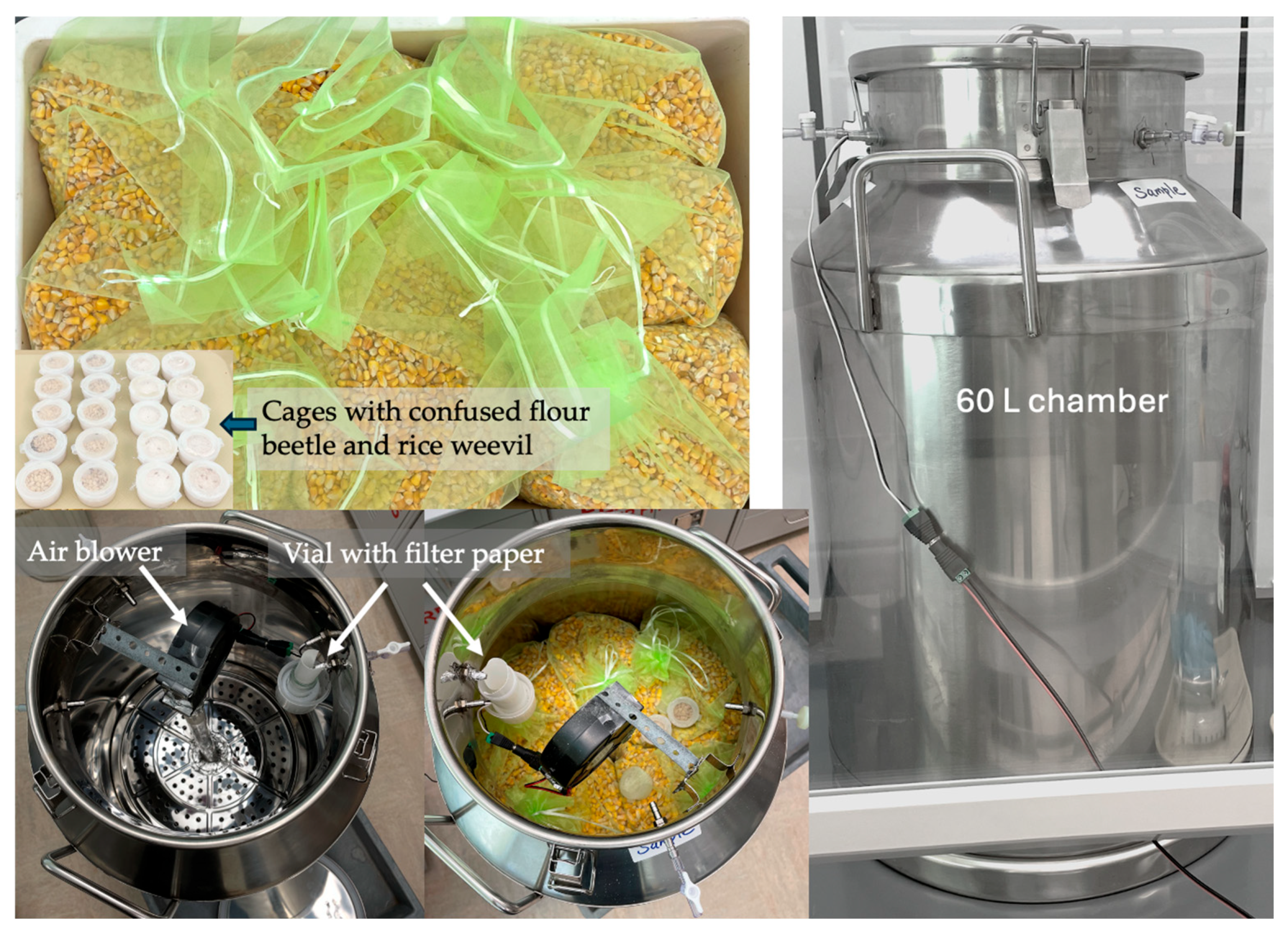 Insects 16 00183 g002