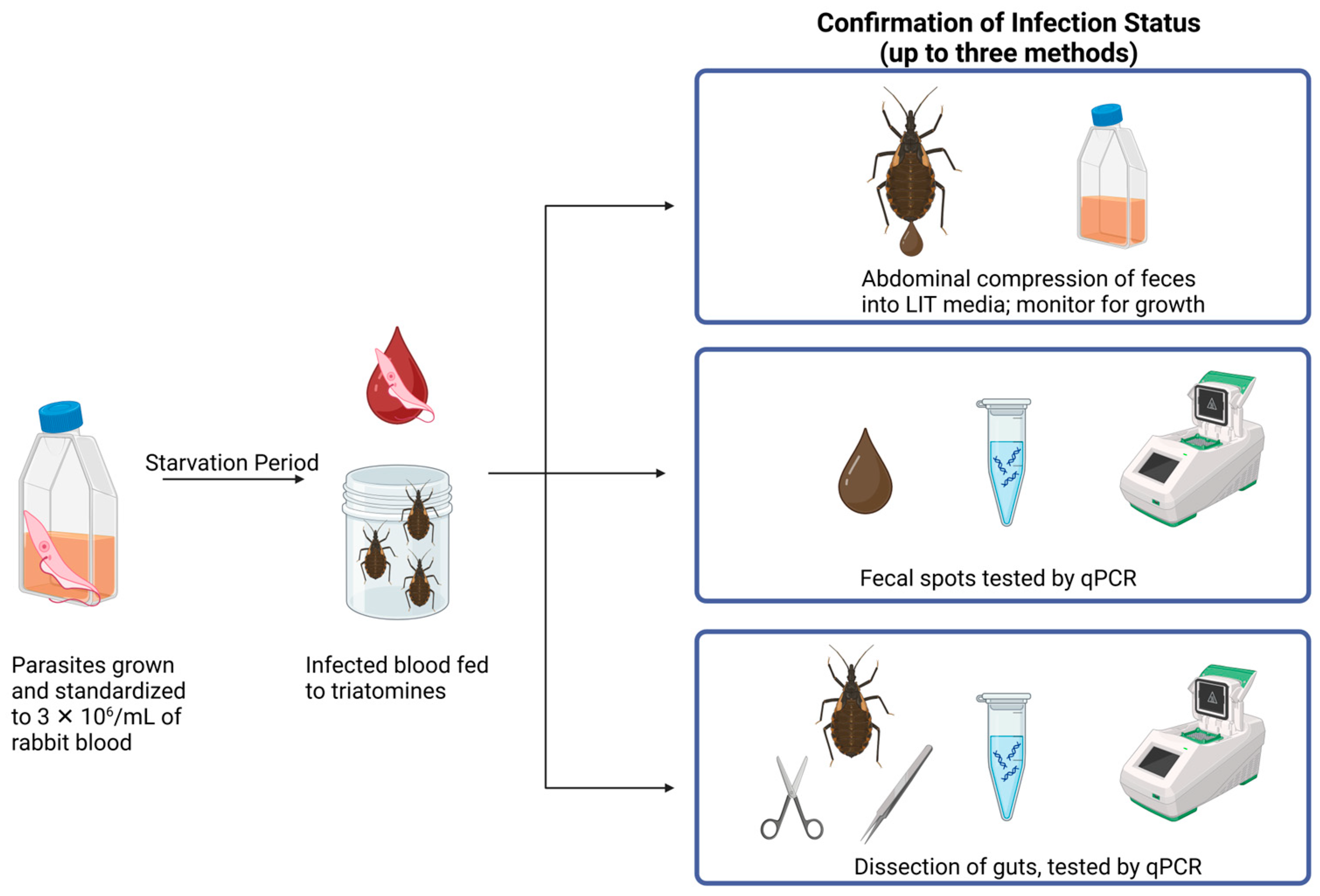 Insects 16 00188 g001 Insects 16 00188 g001
