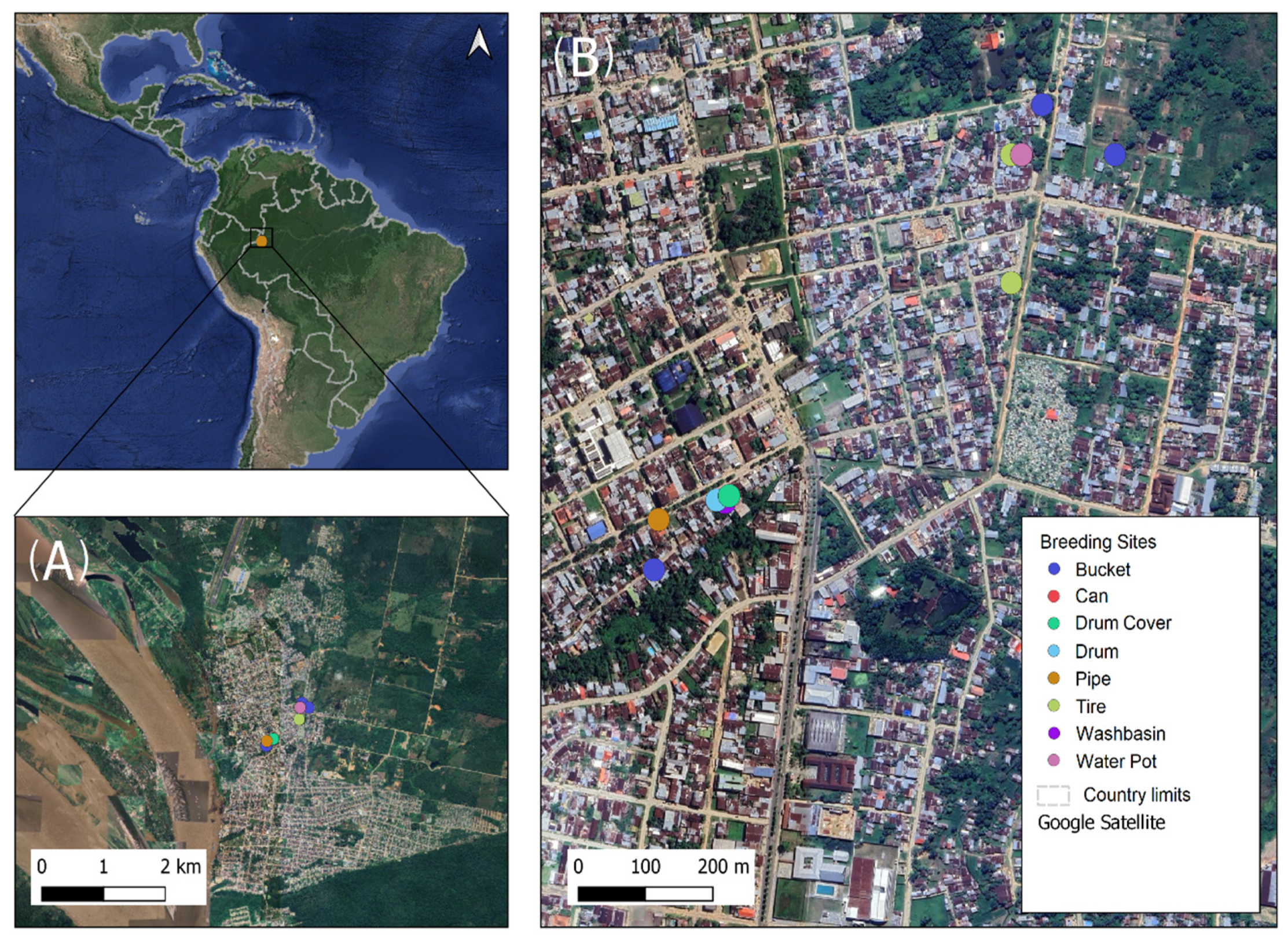Insects 16 00195 g001 Insects 16 00195 g001
