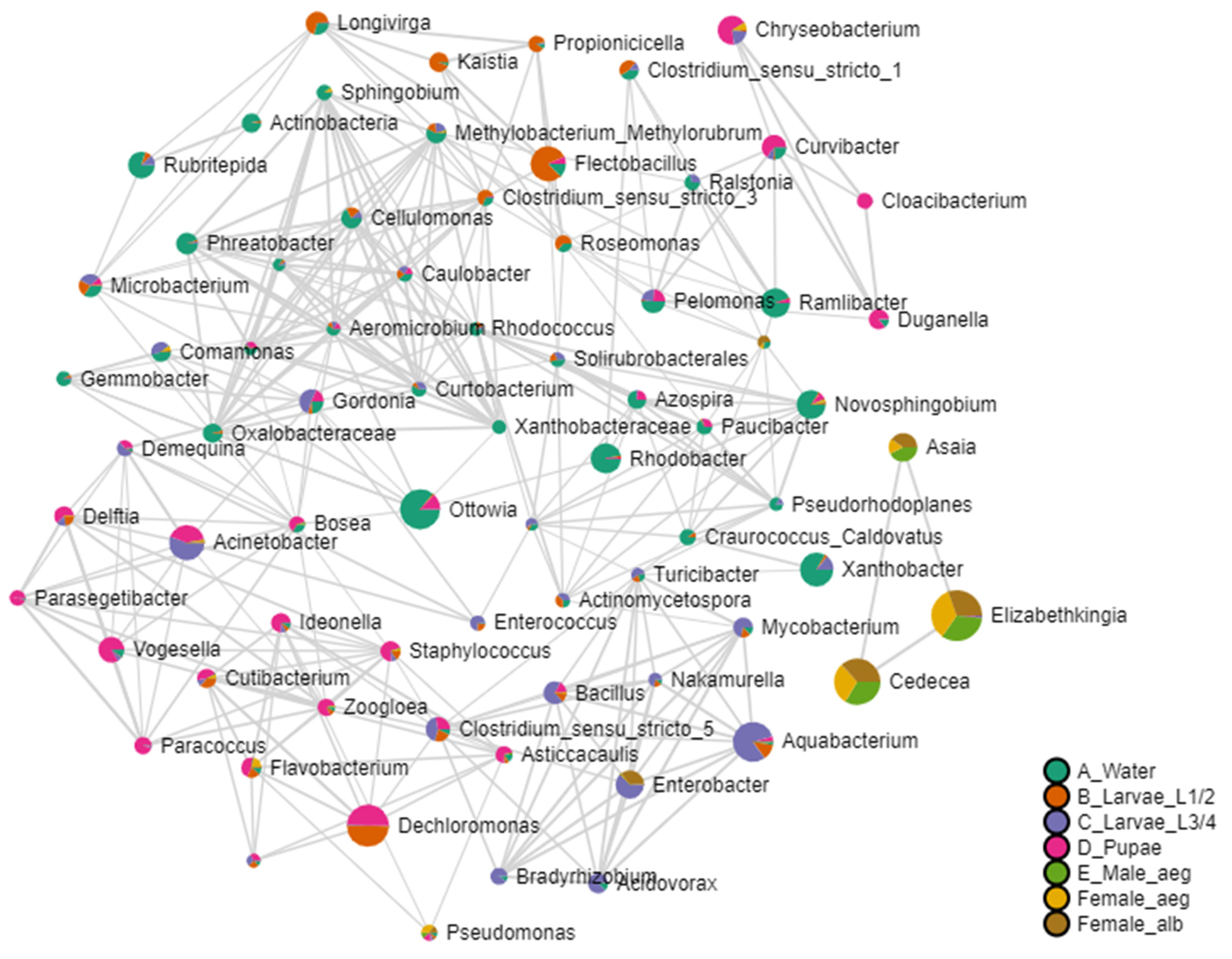 Insects 16 00195 g008 Insects 16 00195 g008