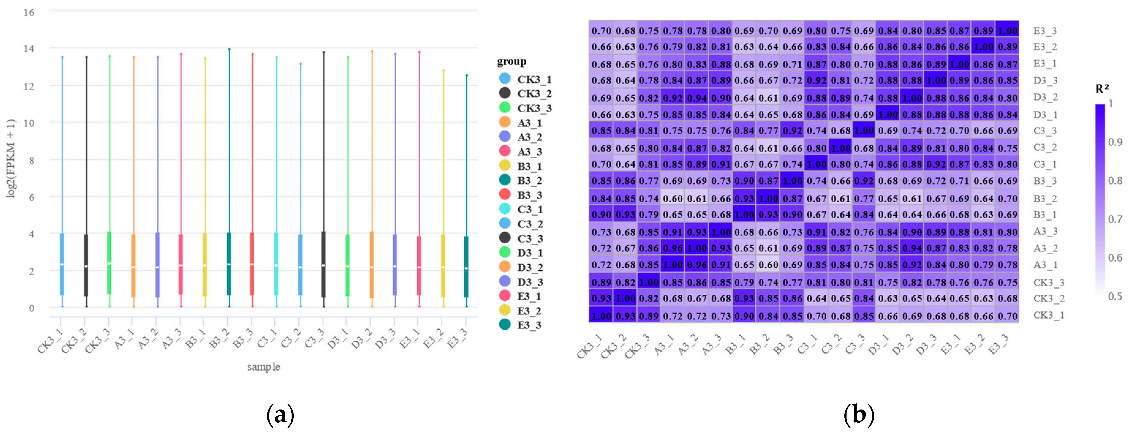 Insects 16 00199 g001