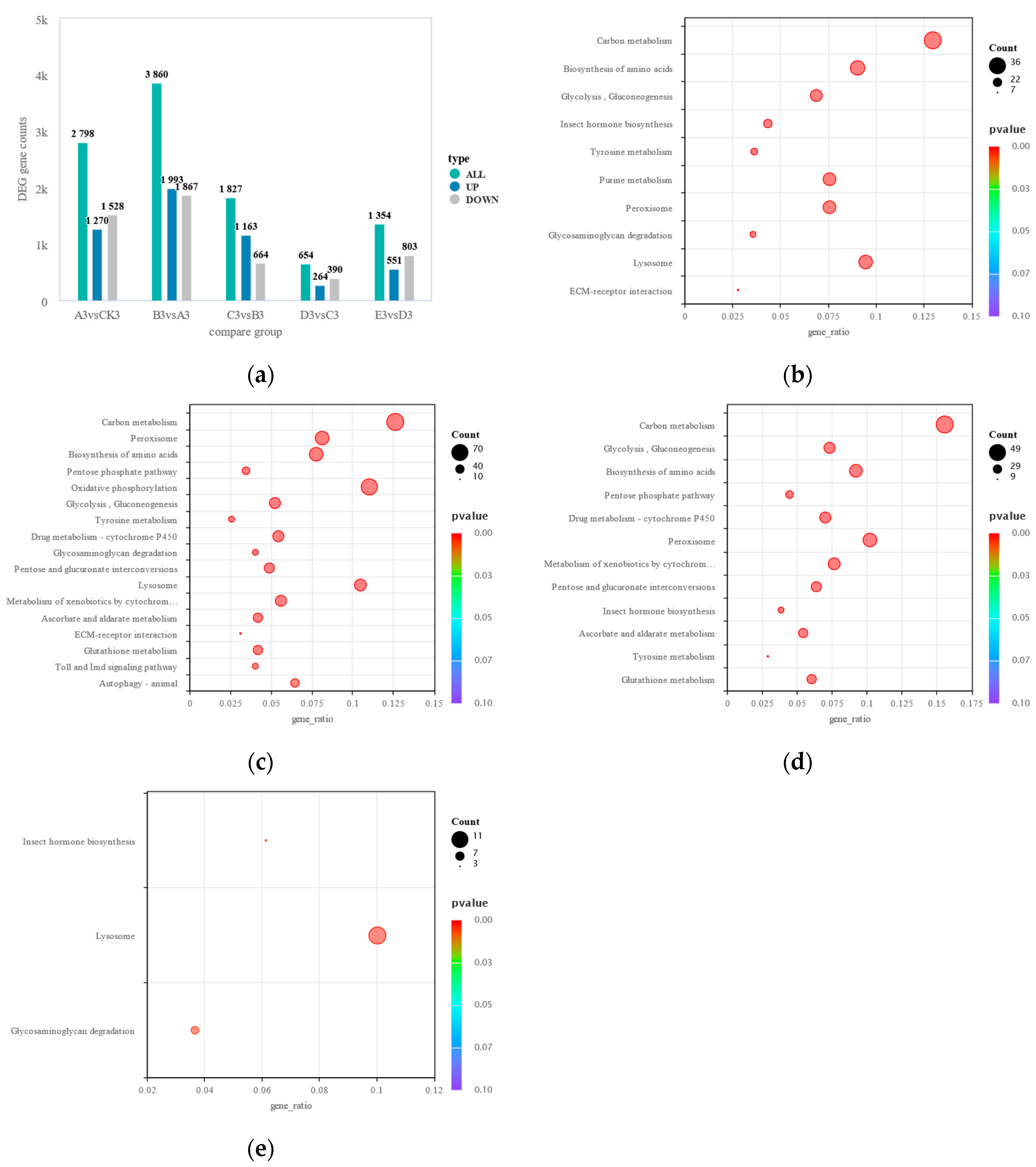 Insects 16 00199 g003