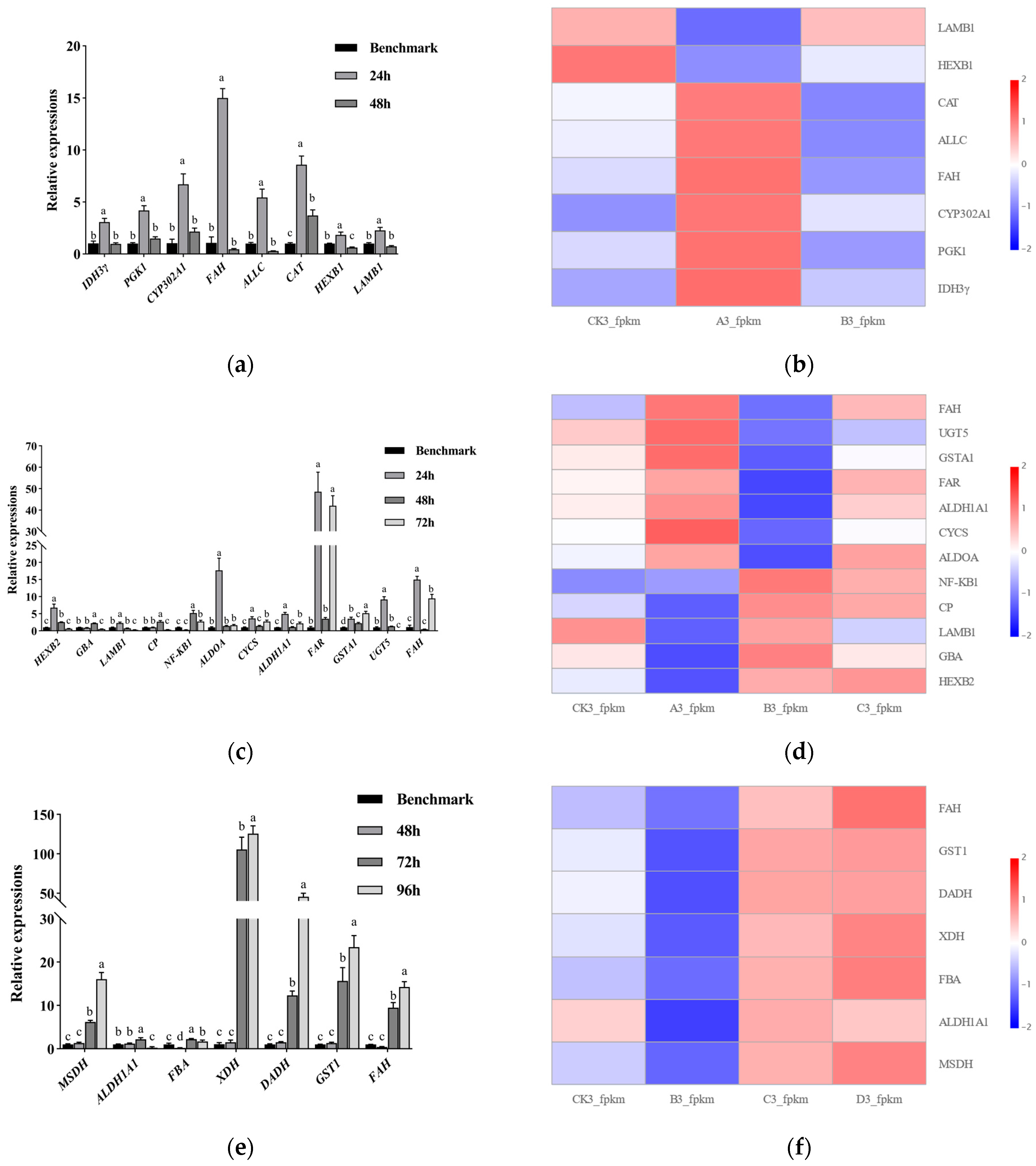 Insects 16 00199 g004a