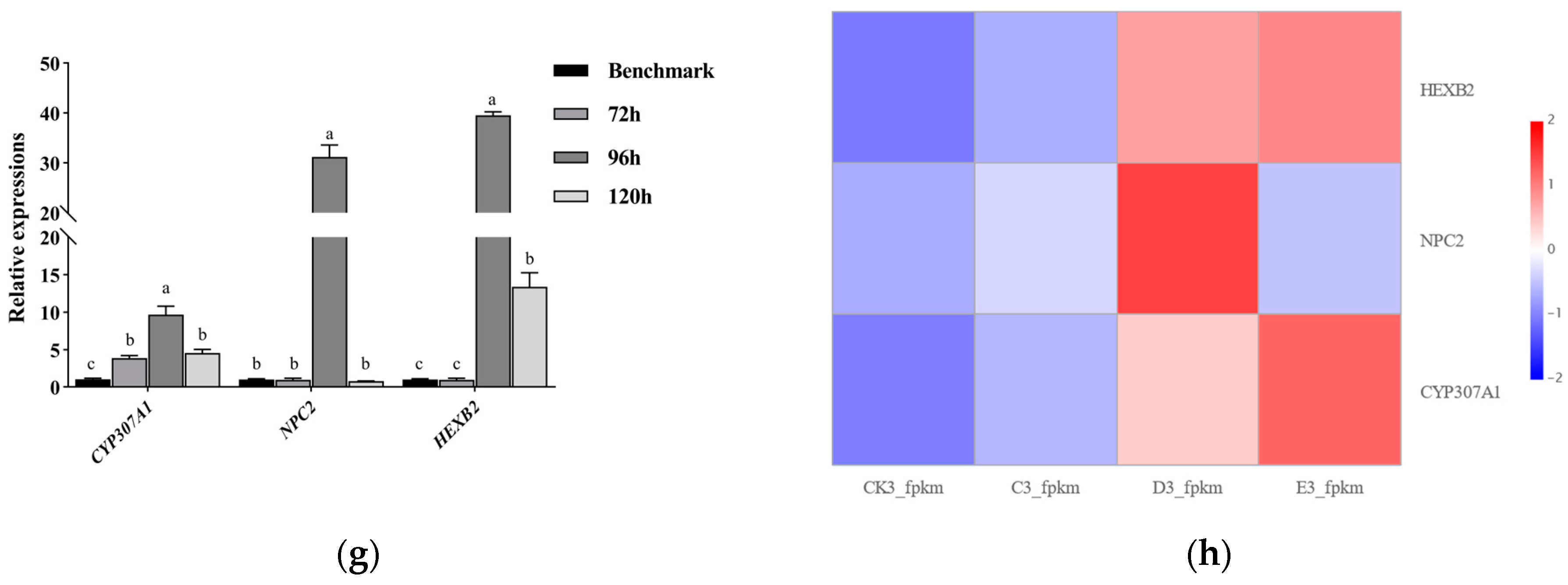 Insects 16 00199 g004b