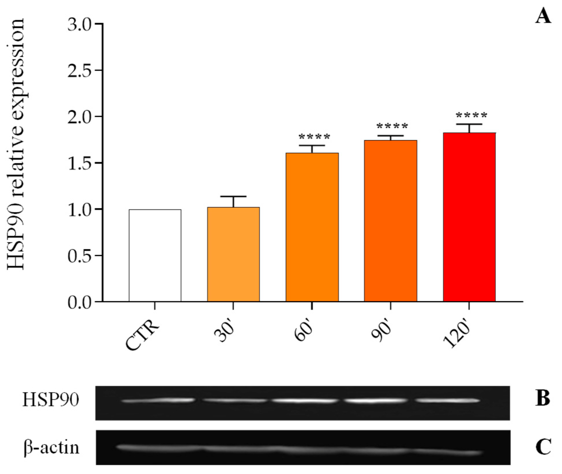 Insects 16 00201 g001