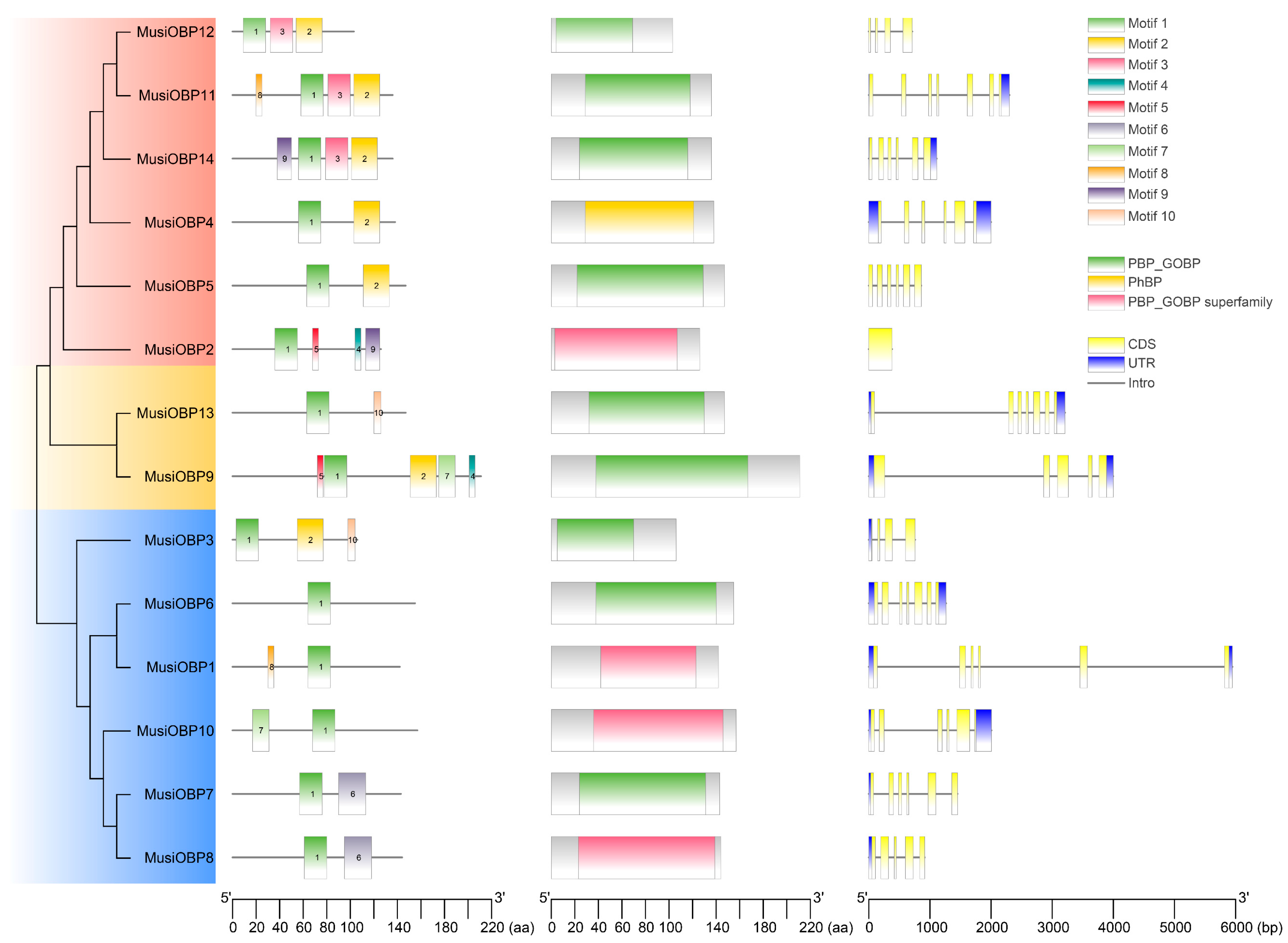 Insects 16 00212 g003 Insects 16 00212 g003