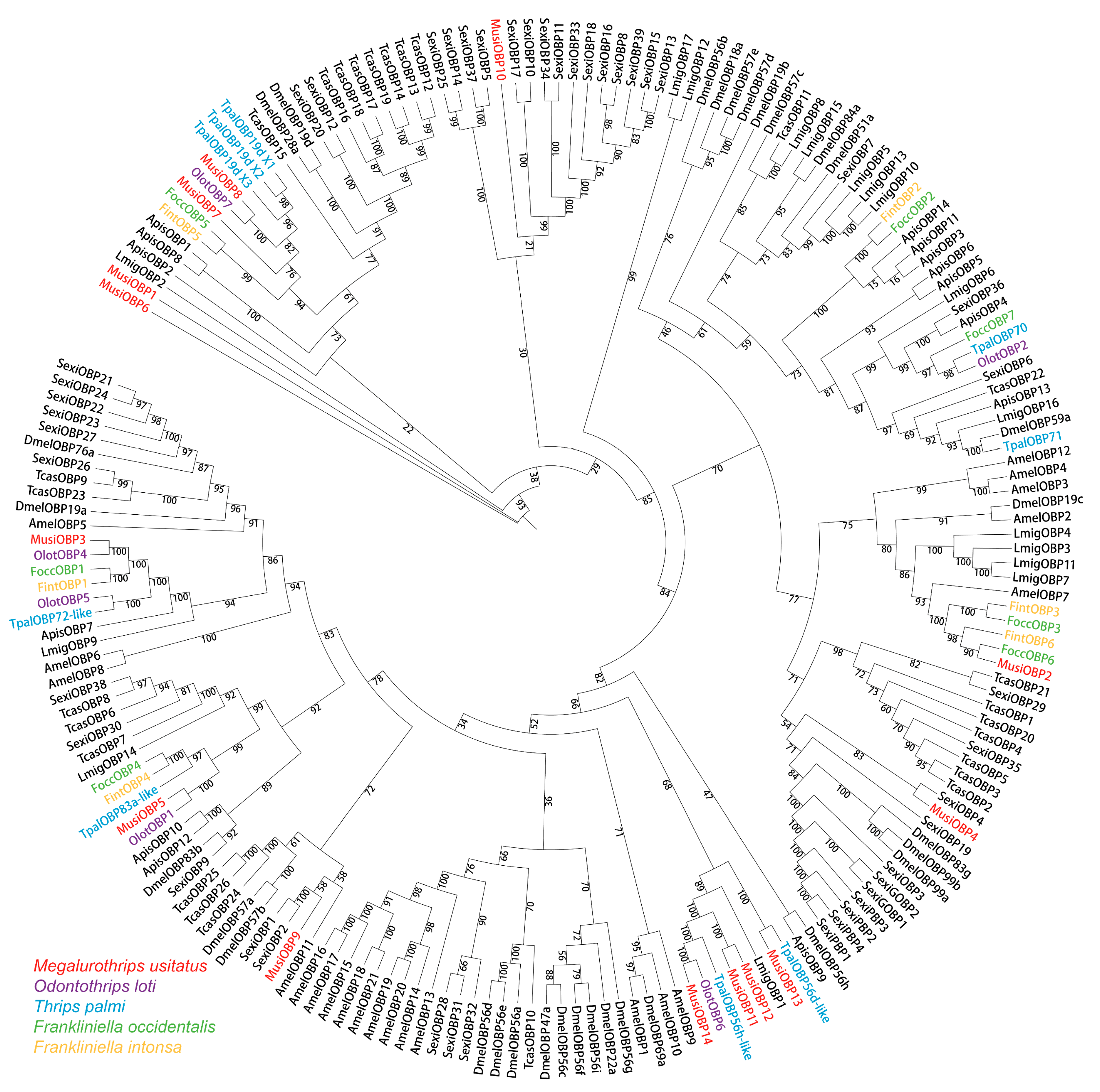 Insects 16 00212 g004 Insects 16 00212 g004