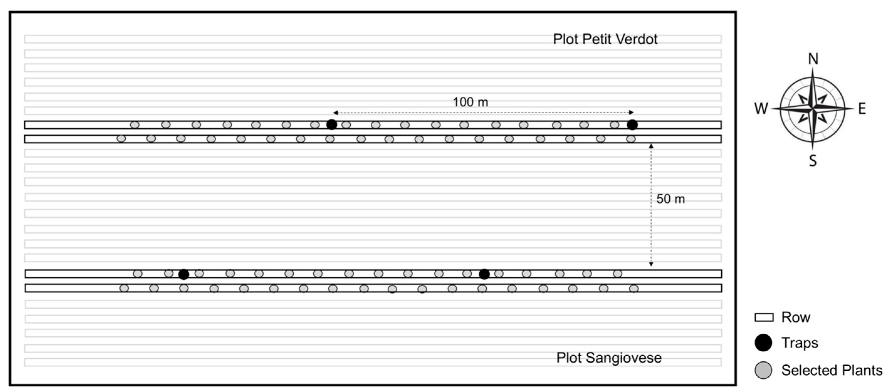Insects 16 00213 g001