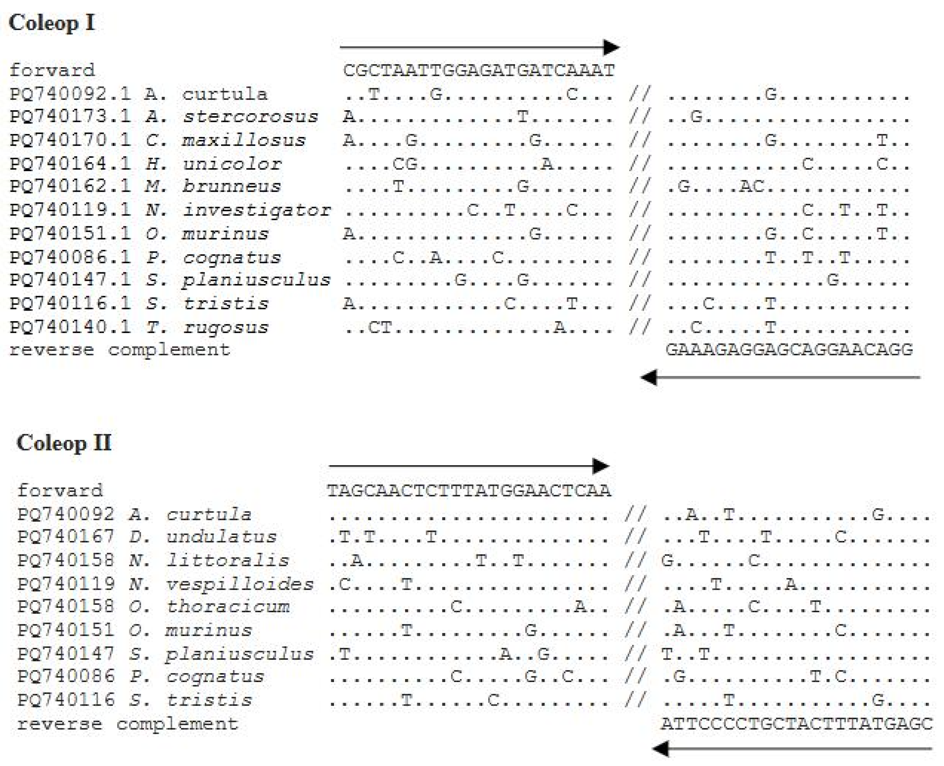 Insects 16 00215 g001