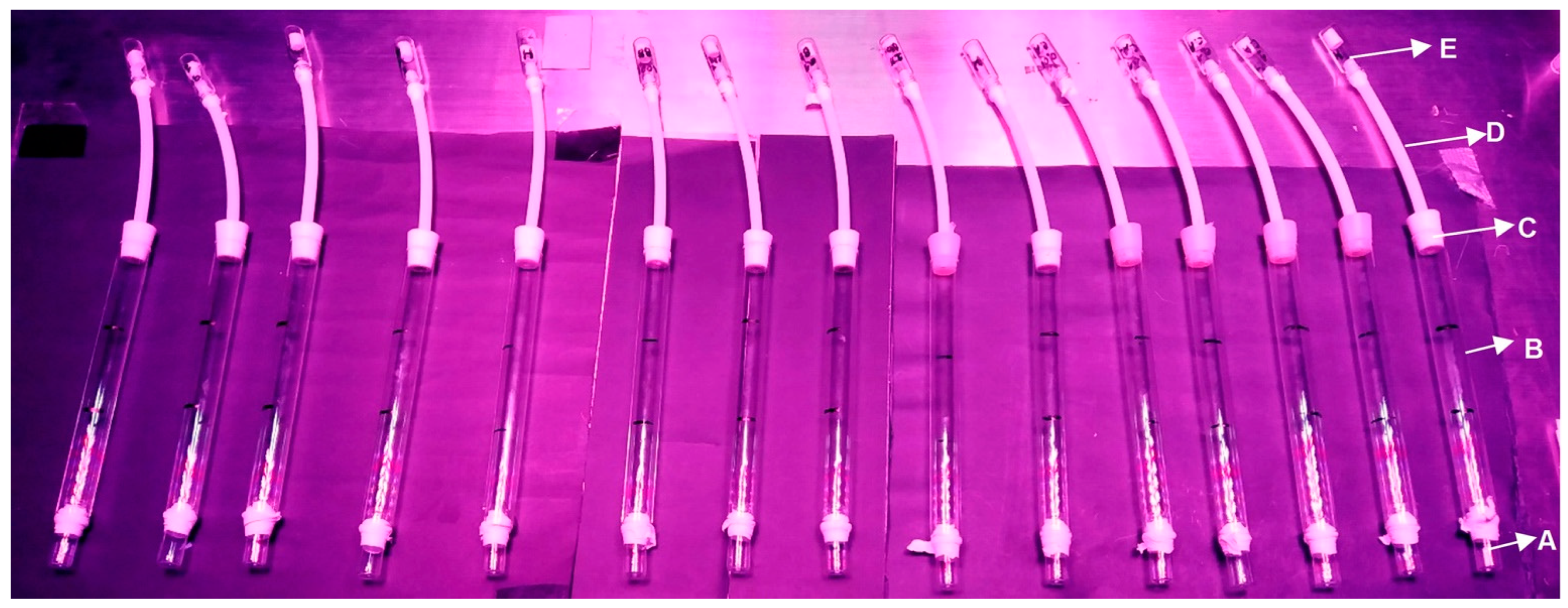 Insects 16 00216 g002