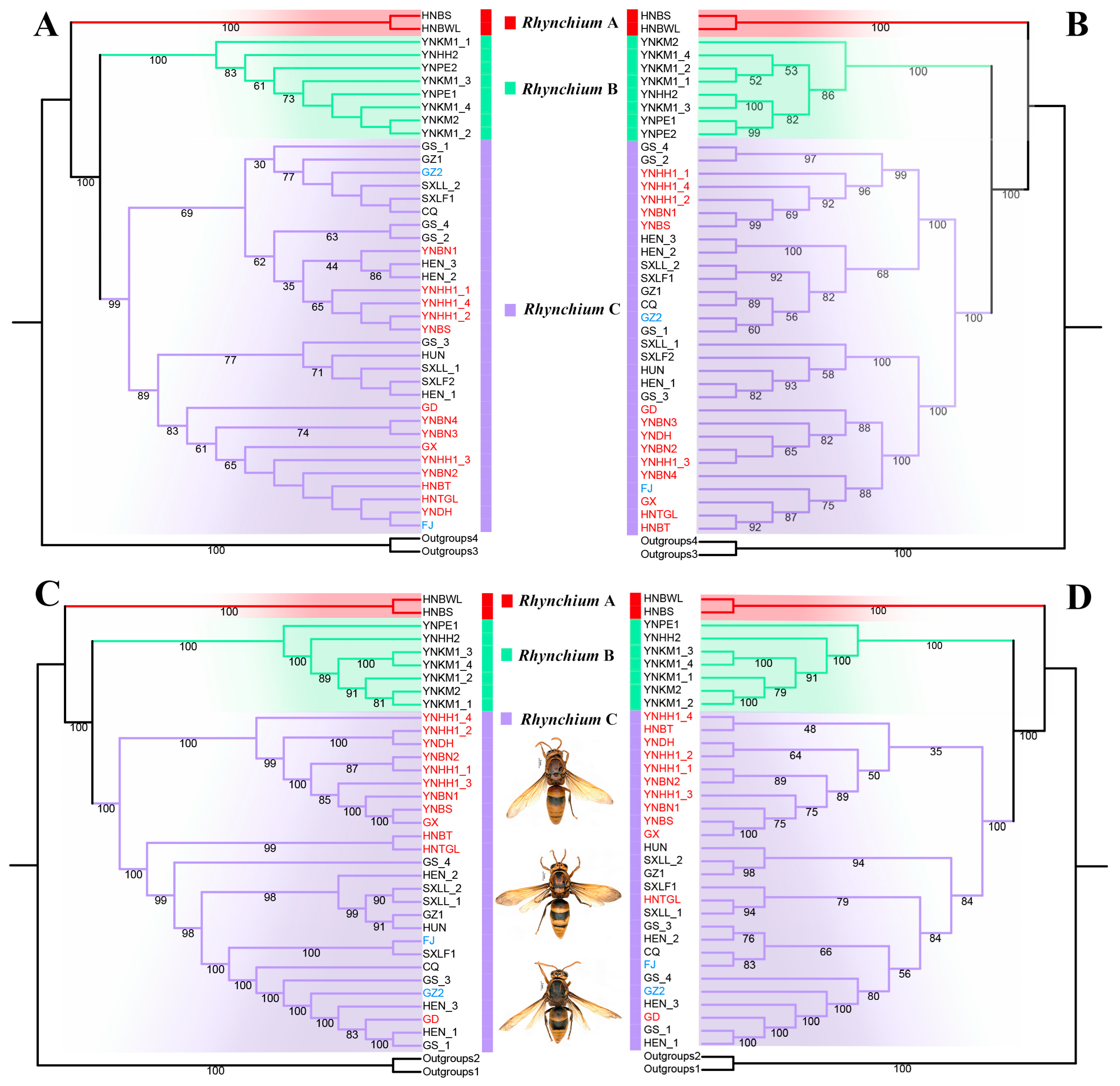 Insects 16 00217 g004